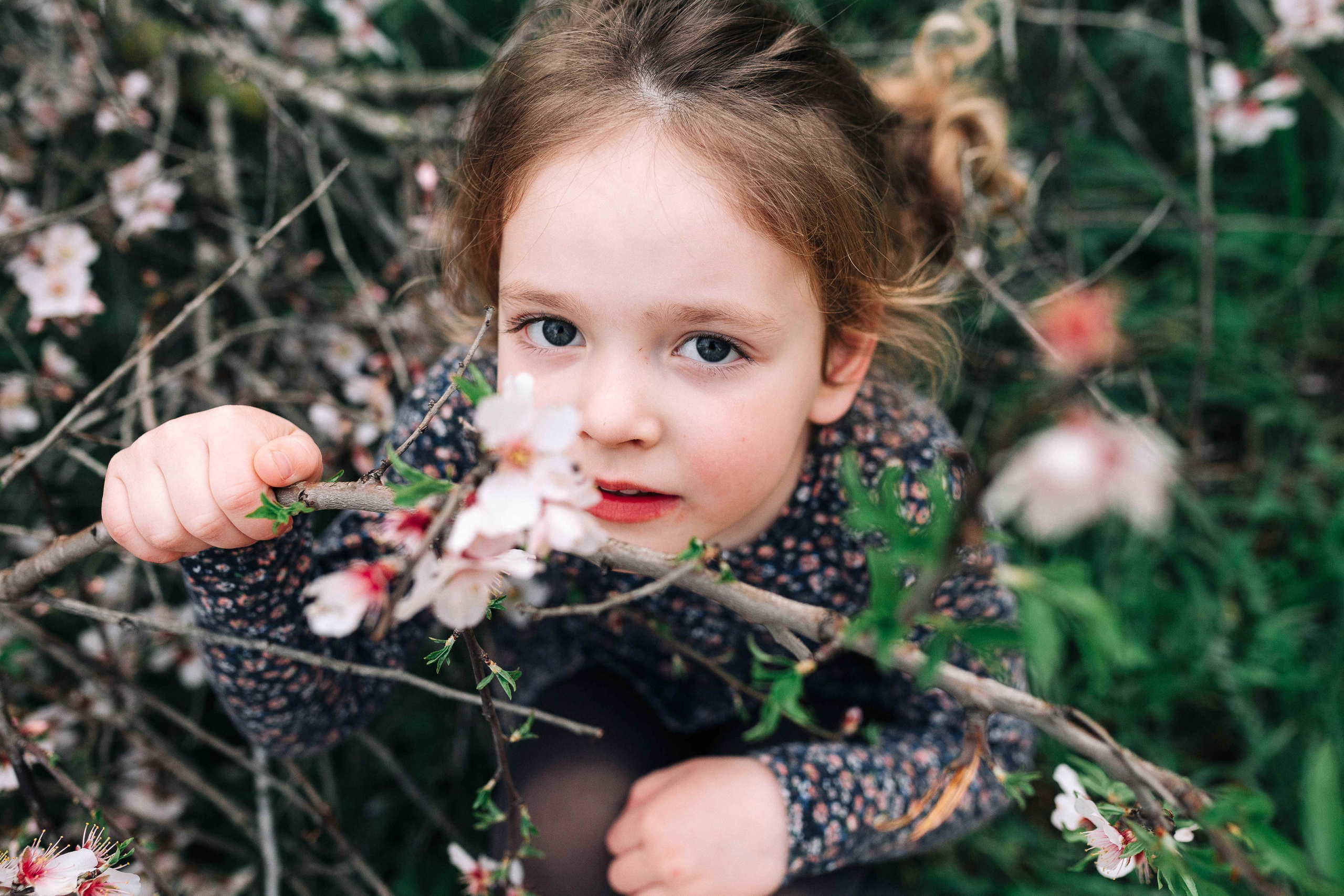 END OF WINTER. Https://shi-photo.com/