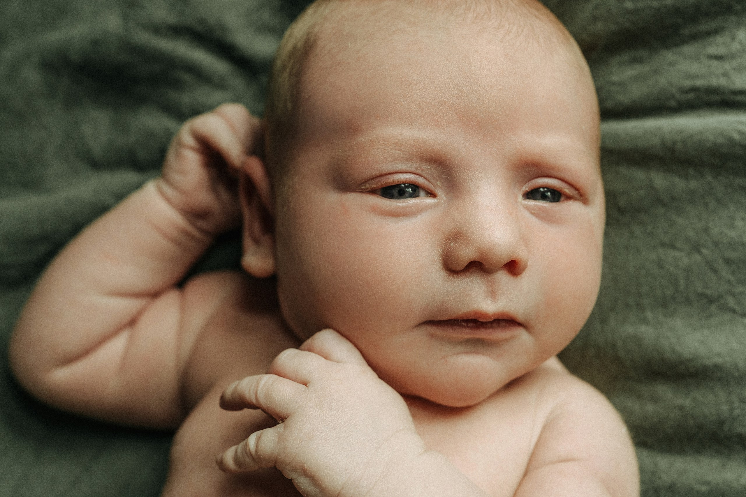 Emily, Kinsley, Kyle, Jace. Alisa Tant — Family and newborn photographer Bucks County, Montgomery county, Philadelphia, NJ