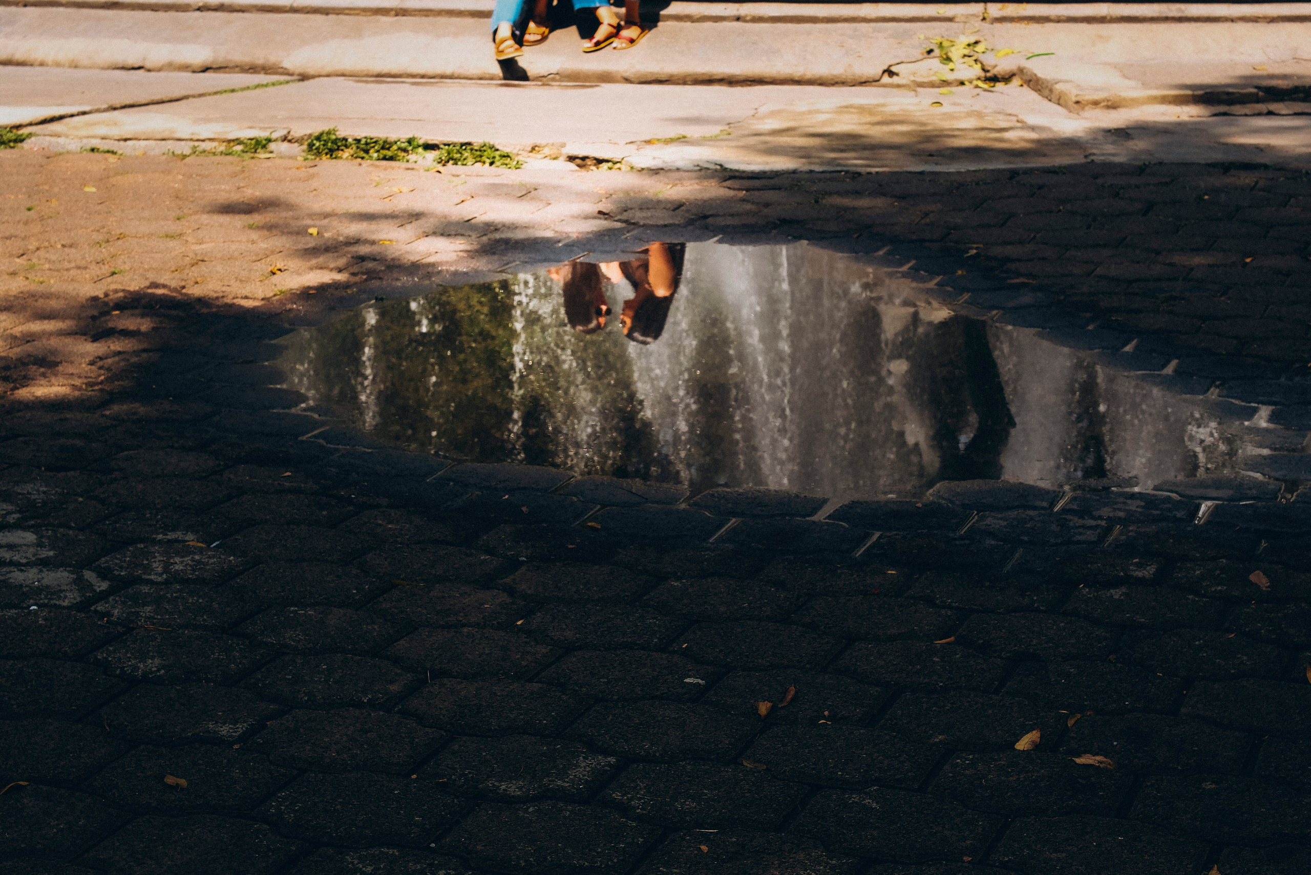 Kaitlin & Amanda. Wedding and family photographer in Mexico City