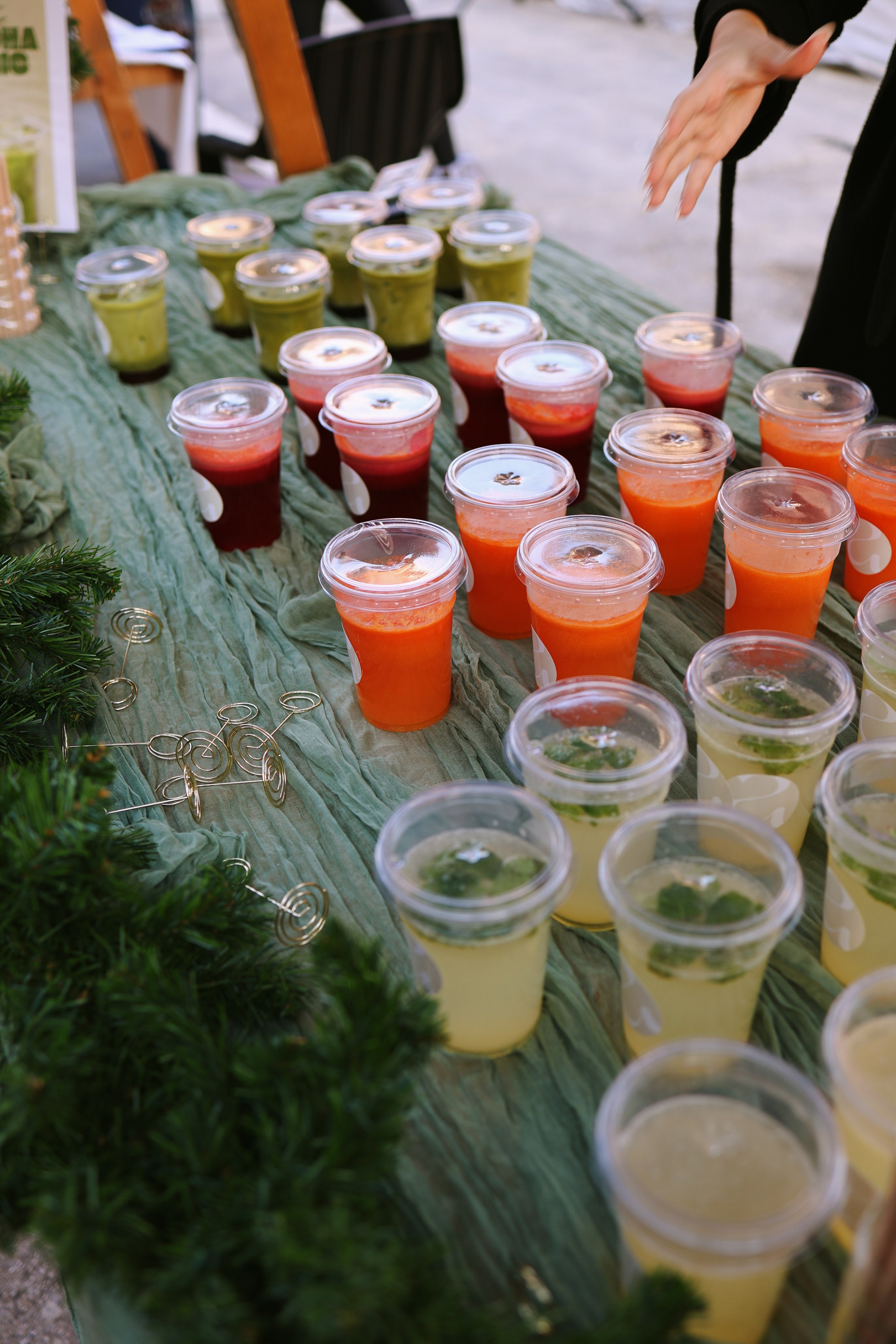 Sunnyville Zimski festival. Marizella Photography