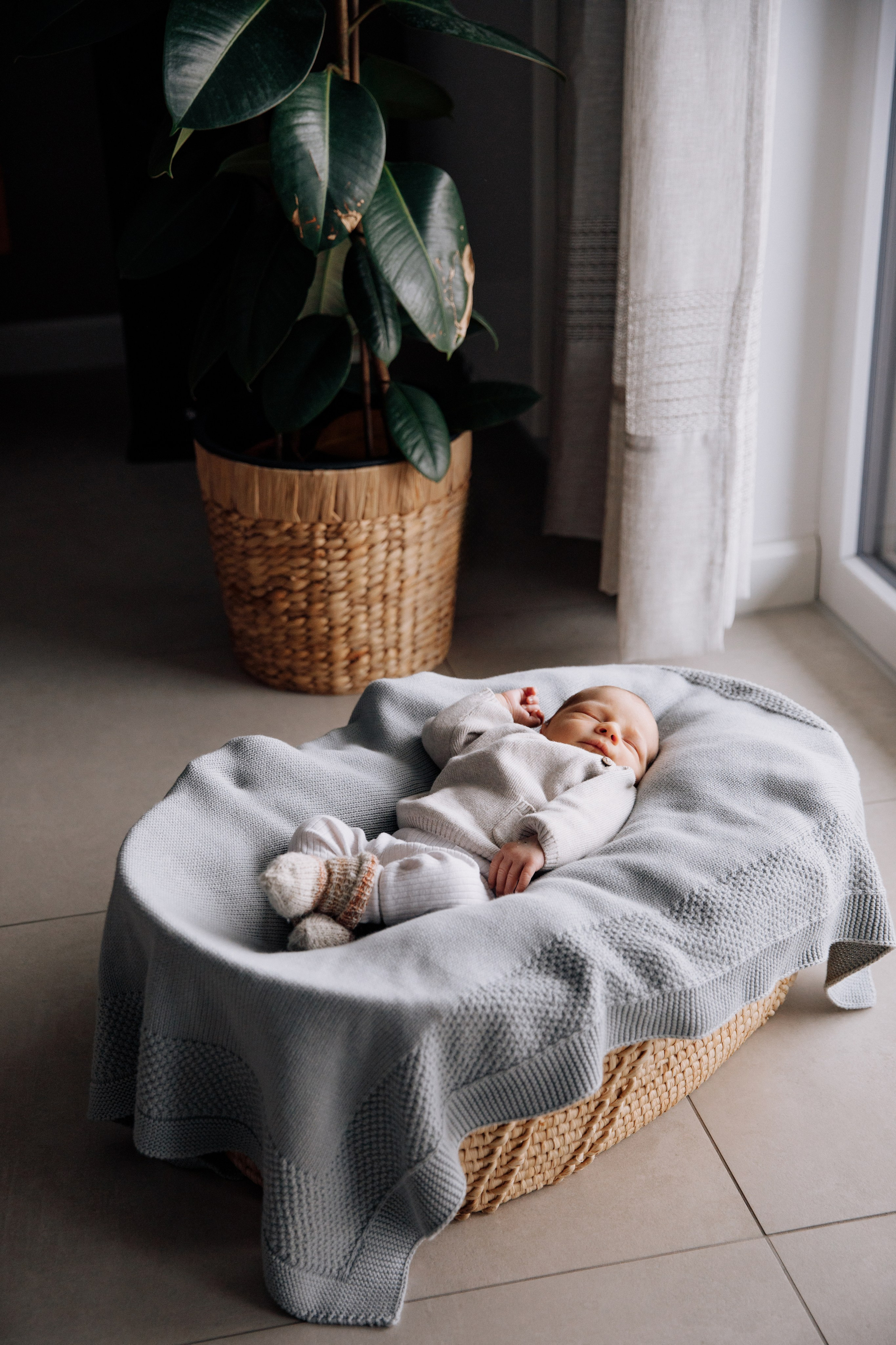 Neugeborenes liegt gemütlich in einem geflochtenen Korb neben dem Fenster, umgeben von sanftem Tageslicht.