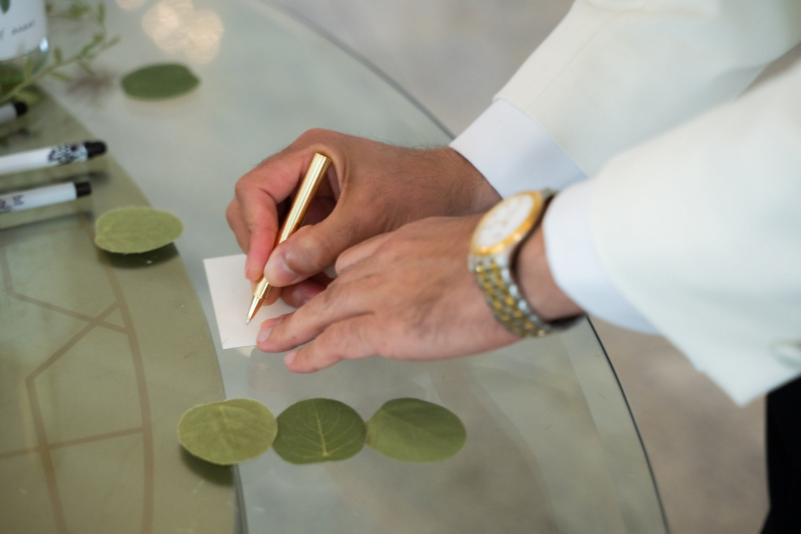 Mandana & Babak. Wedding Photo & Video