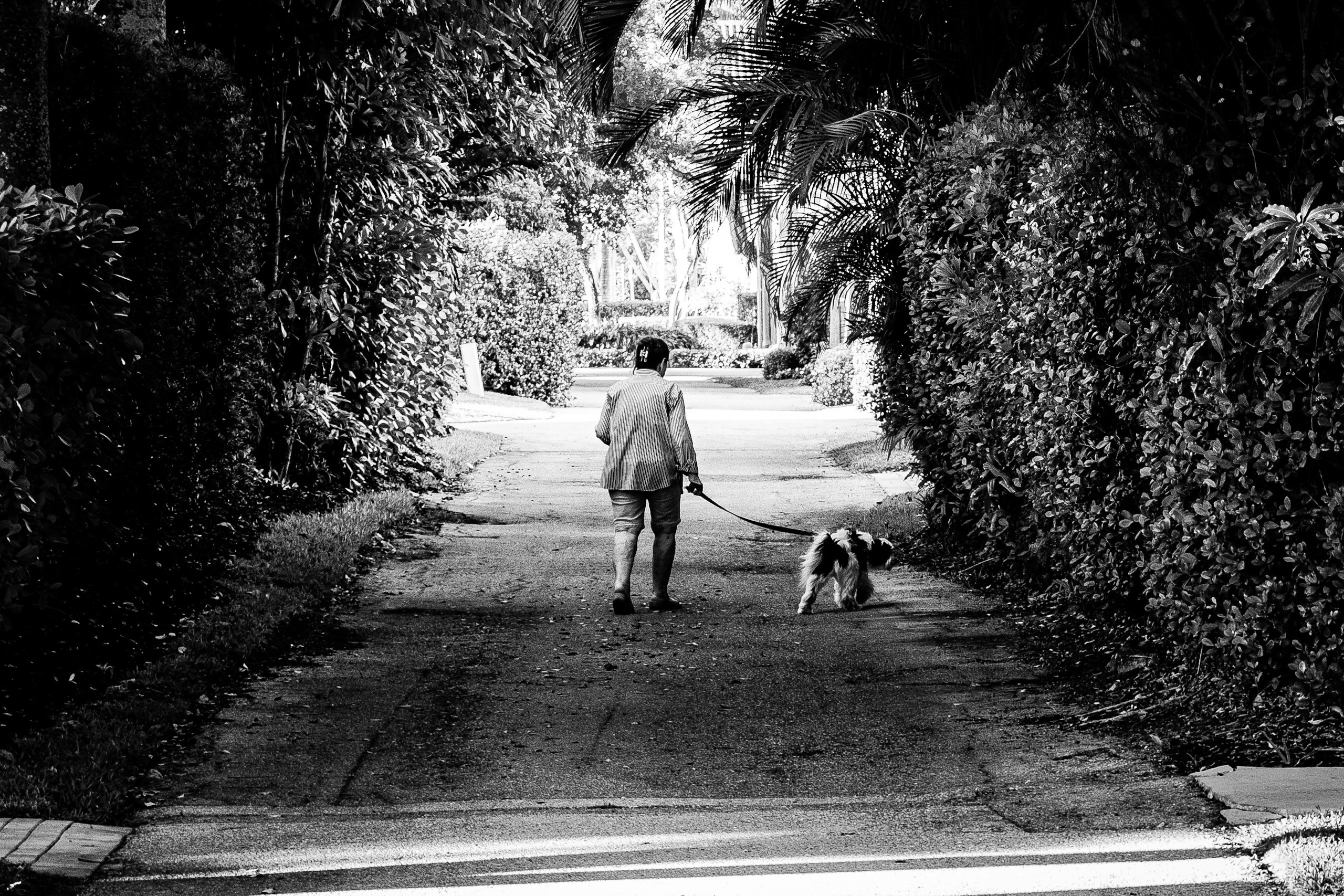 Black and White. Out and About 239