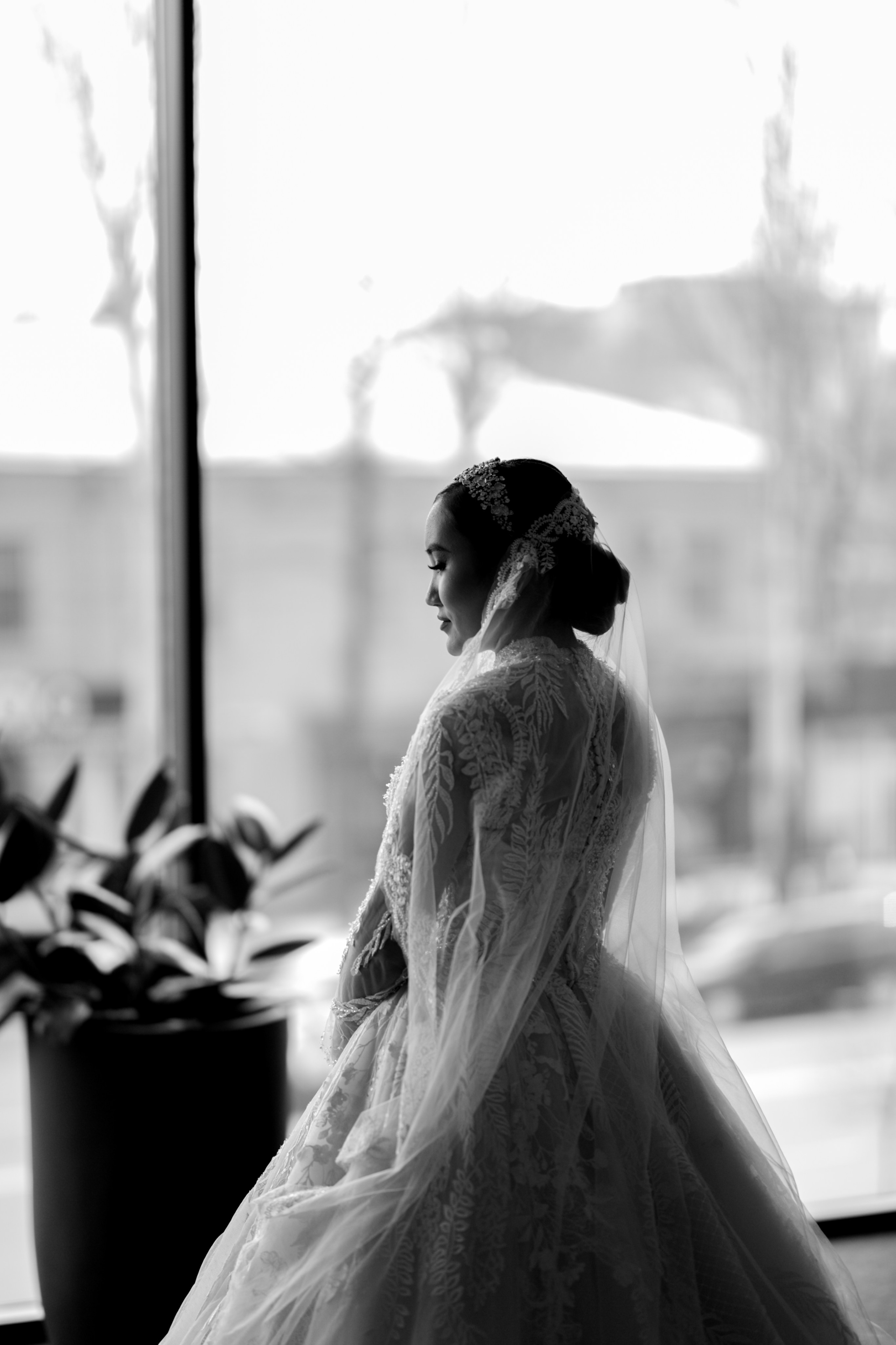 NOVA. Mandarin.photo