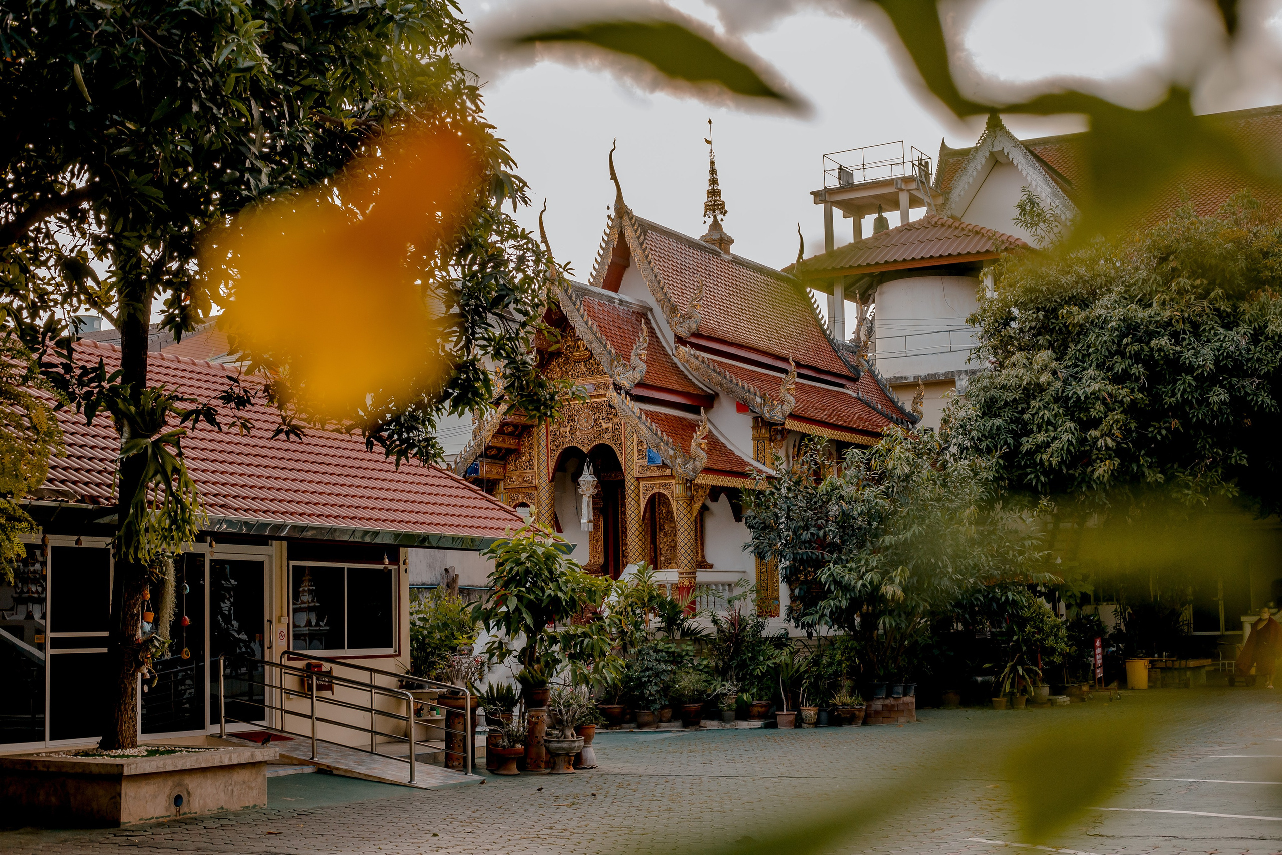 Thailand, Chiang Mai. Art Photographer