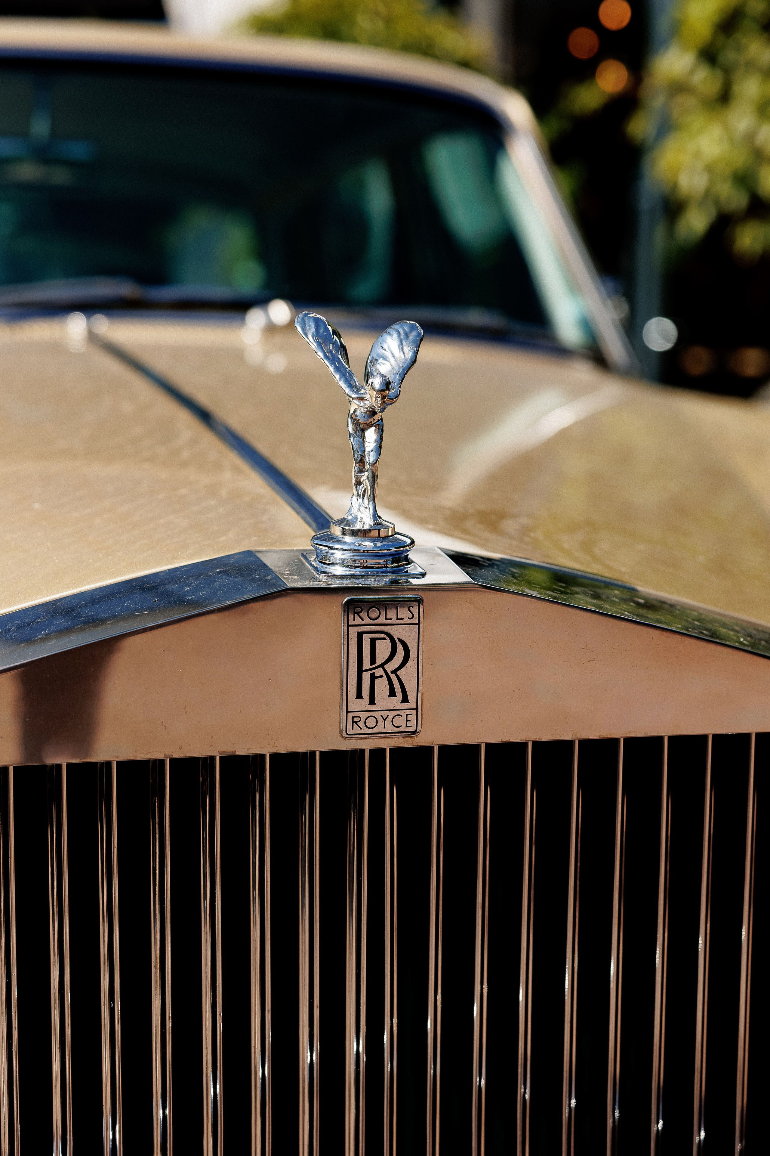 Serghei & Erica — Queen Residence. Servicii Foto și Video 067188353