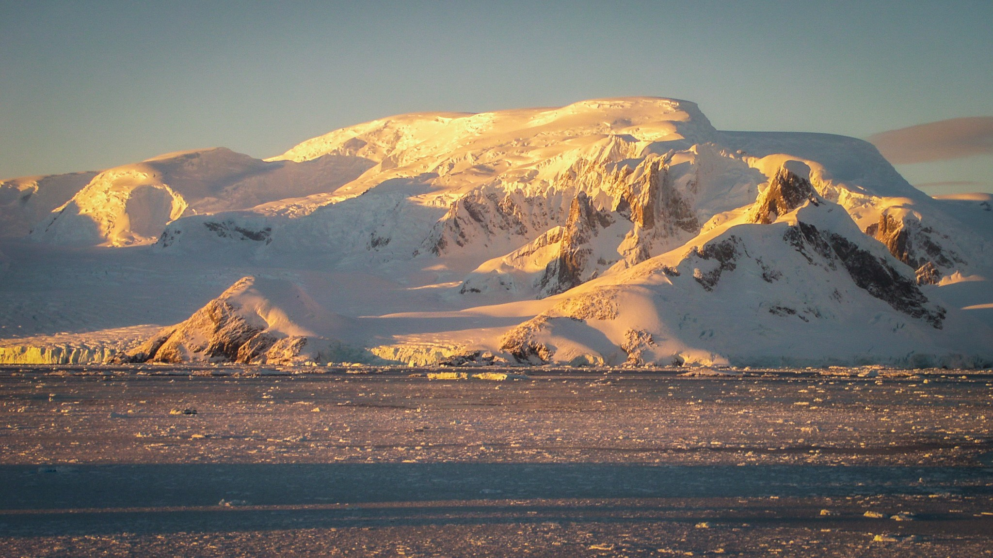 ANTARCTICA / 2004. Reportage concert portrait photography in the San Francisco Bay Area