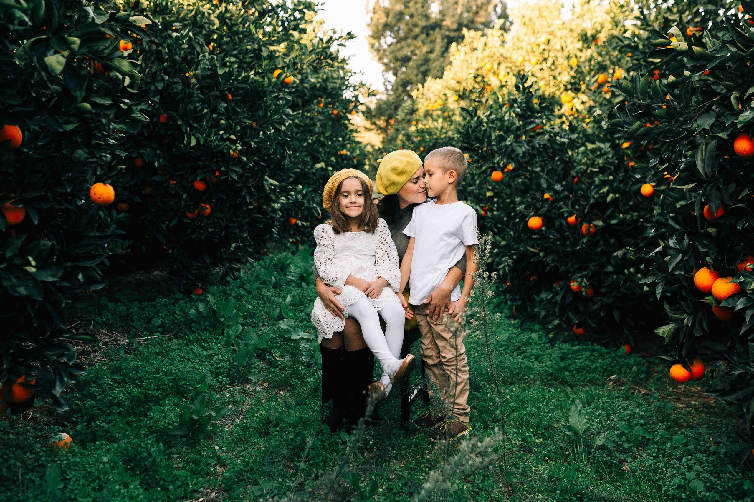 MANDARNINE GARDEN. Https://shi-photo.com/