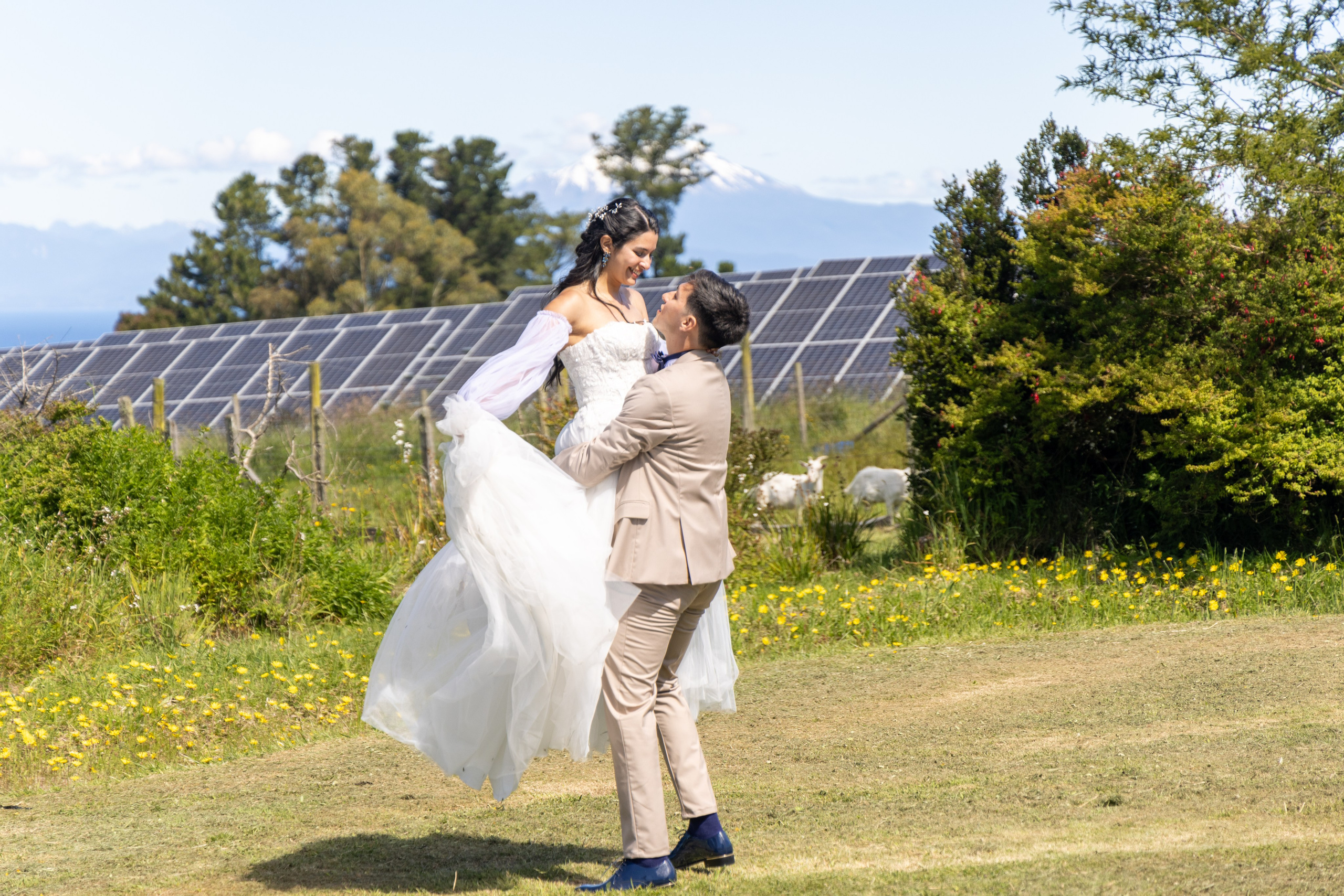 Carol & Ivo. Dinka & Emilio - El arte de preservar lo que no se repite