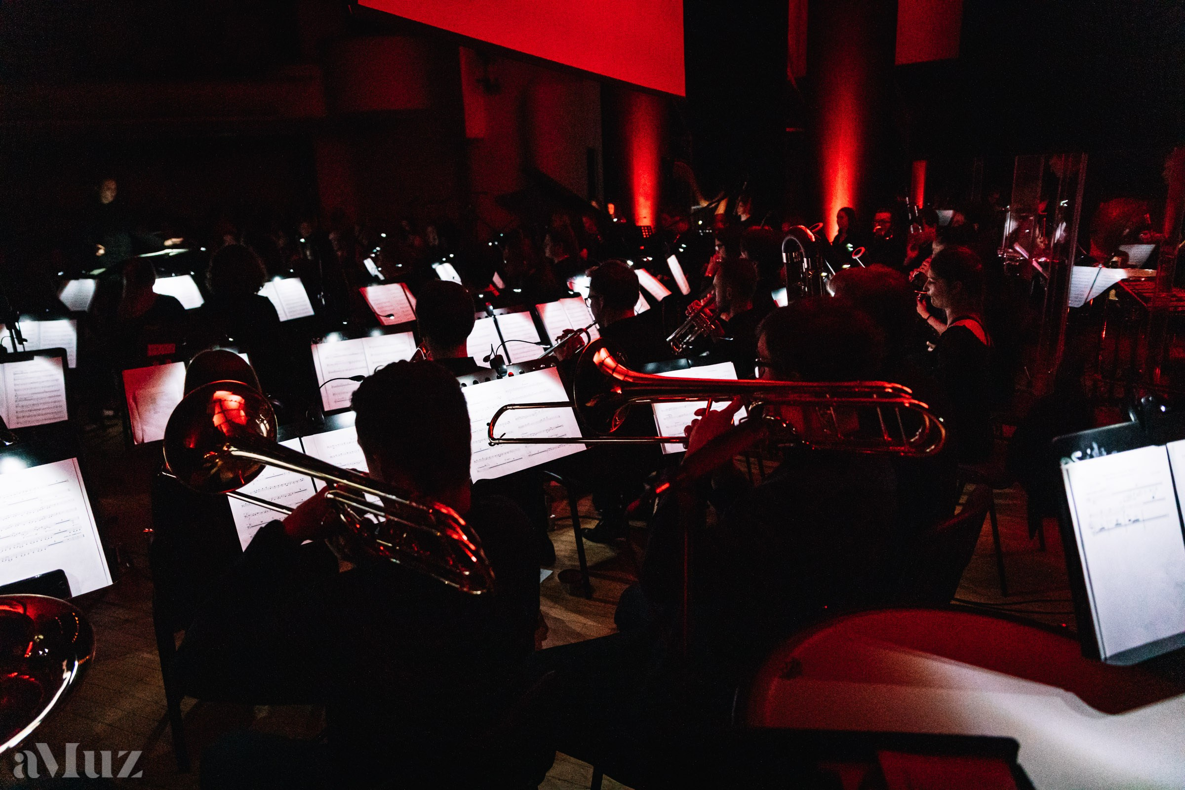 Koncert Muzyki Filmowej. Fotograf Ślubny Warszawa - Sesje Biznesowe Rodzinne Eventy
