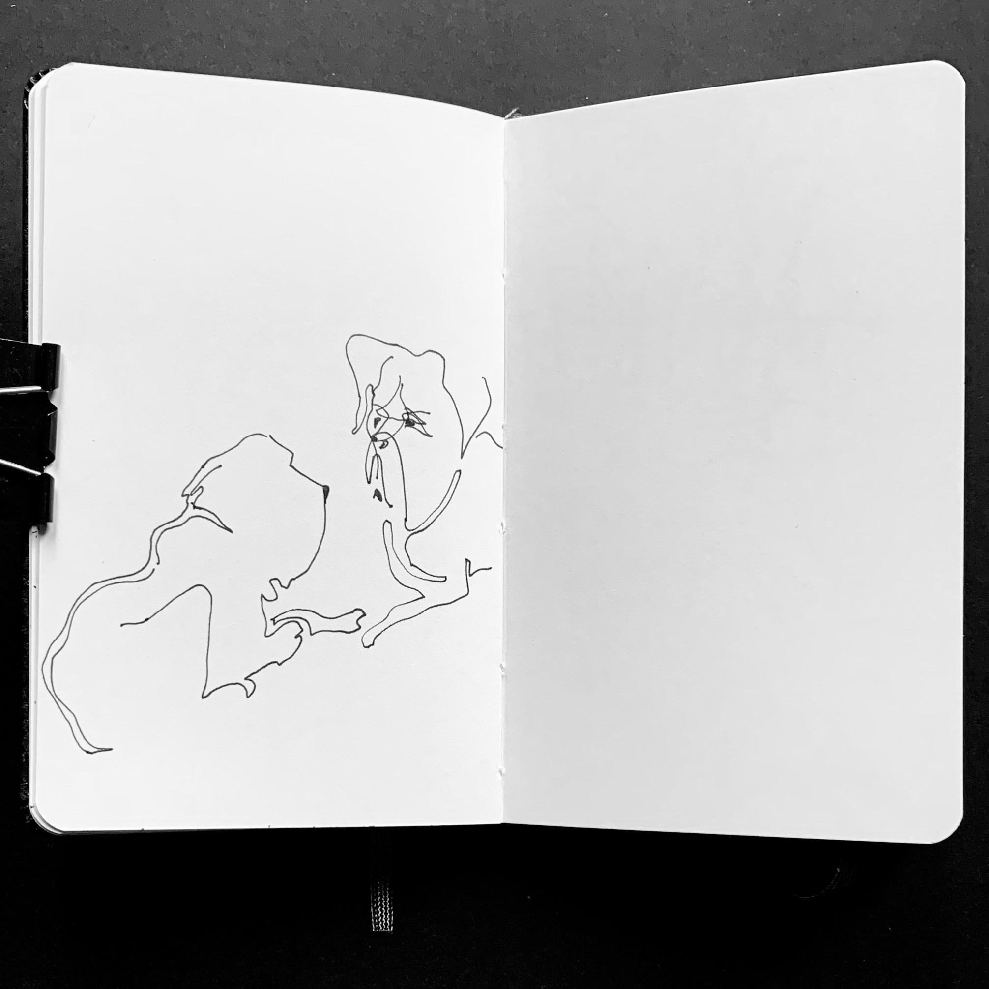 Liguria. Nadia Kuprina. Artist