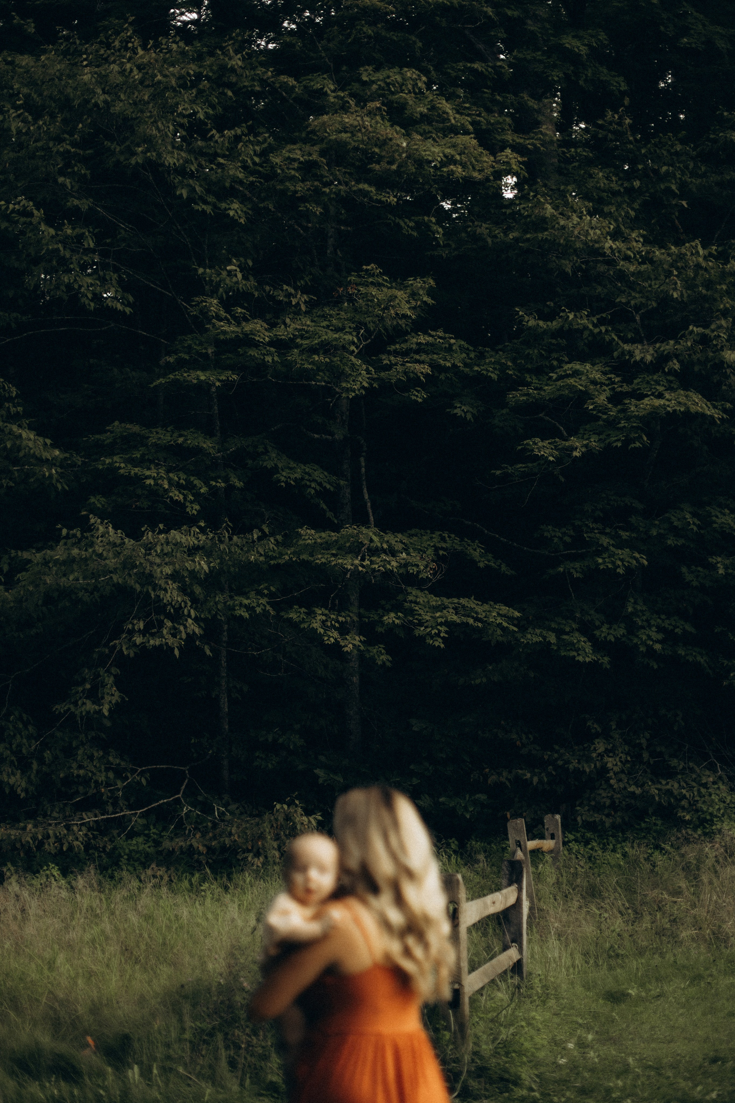 The Woods. CAPTURED BY SHANKS PHOTOGRAPHY