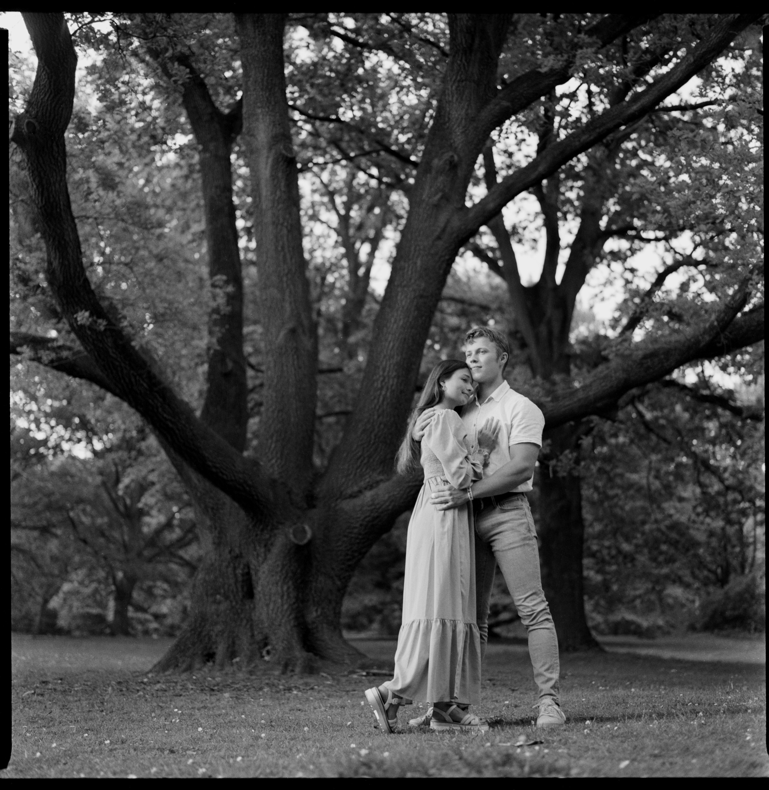 Romantic couple in nature, photographed on medium format analog film near Bodensee