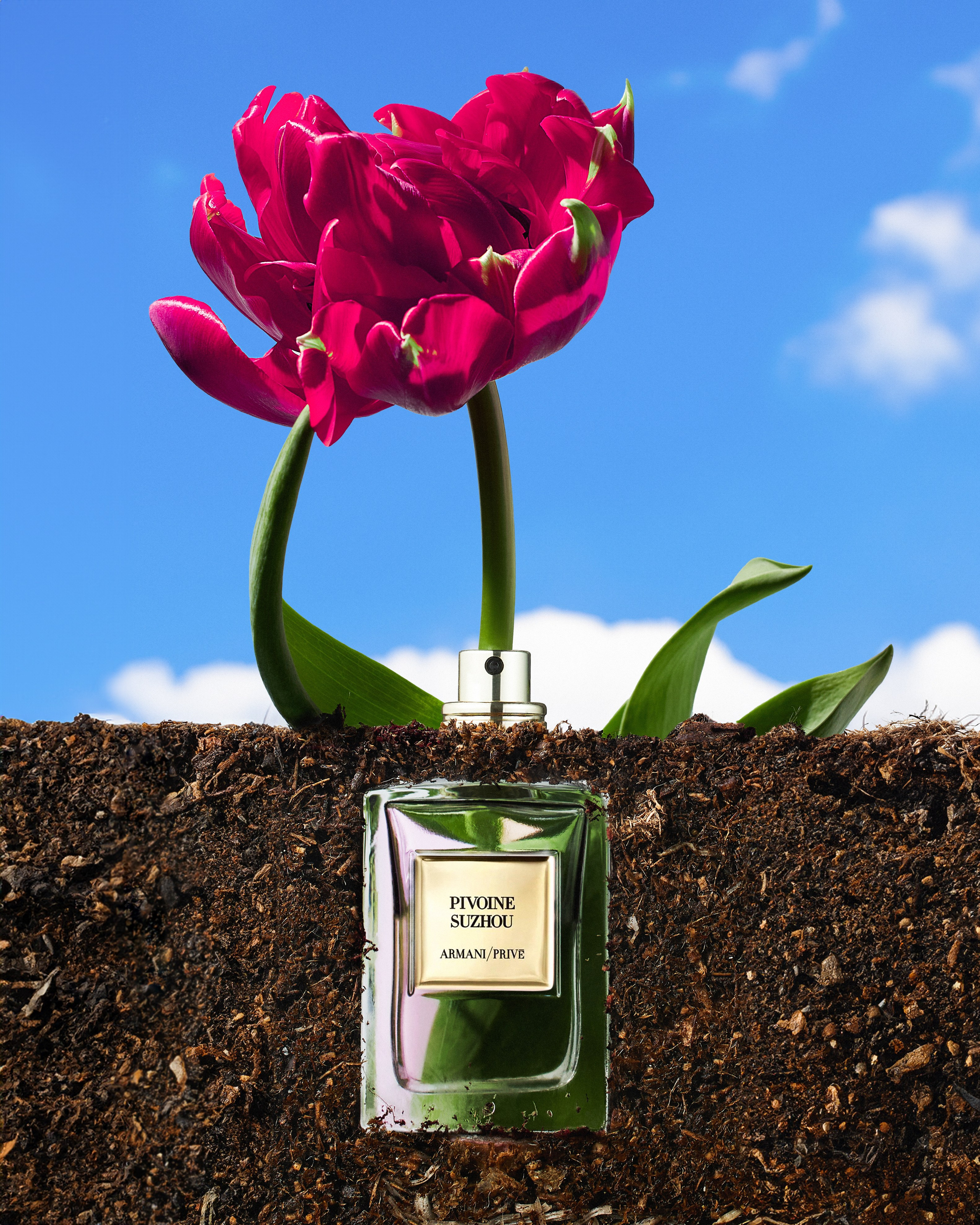 Creative Photography. Laira Studio — creative Portrait and Product Photography in Vancouver