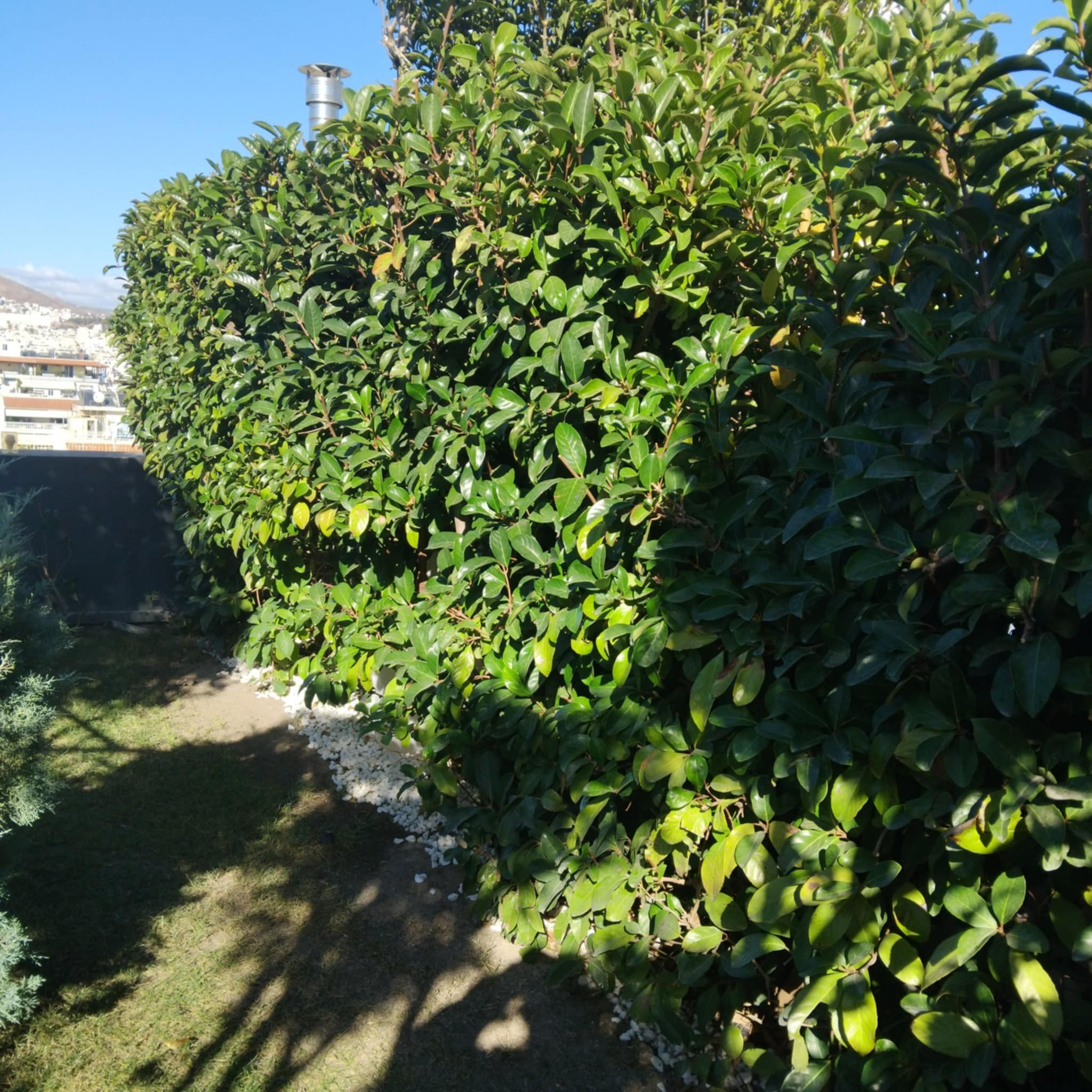 Κήπος Πειραιά. Geoponitikon-Όταν η Επιστήμη συναντά την Τέχνη στο Φυσικό Τοπίο!