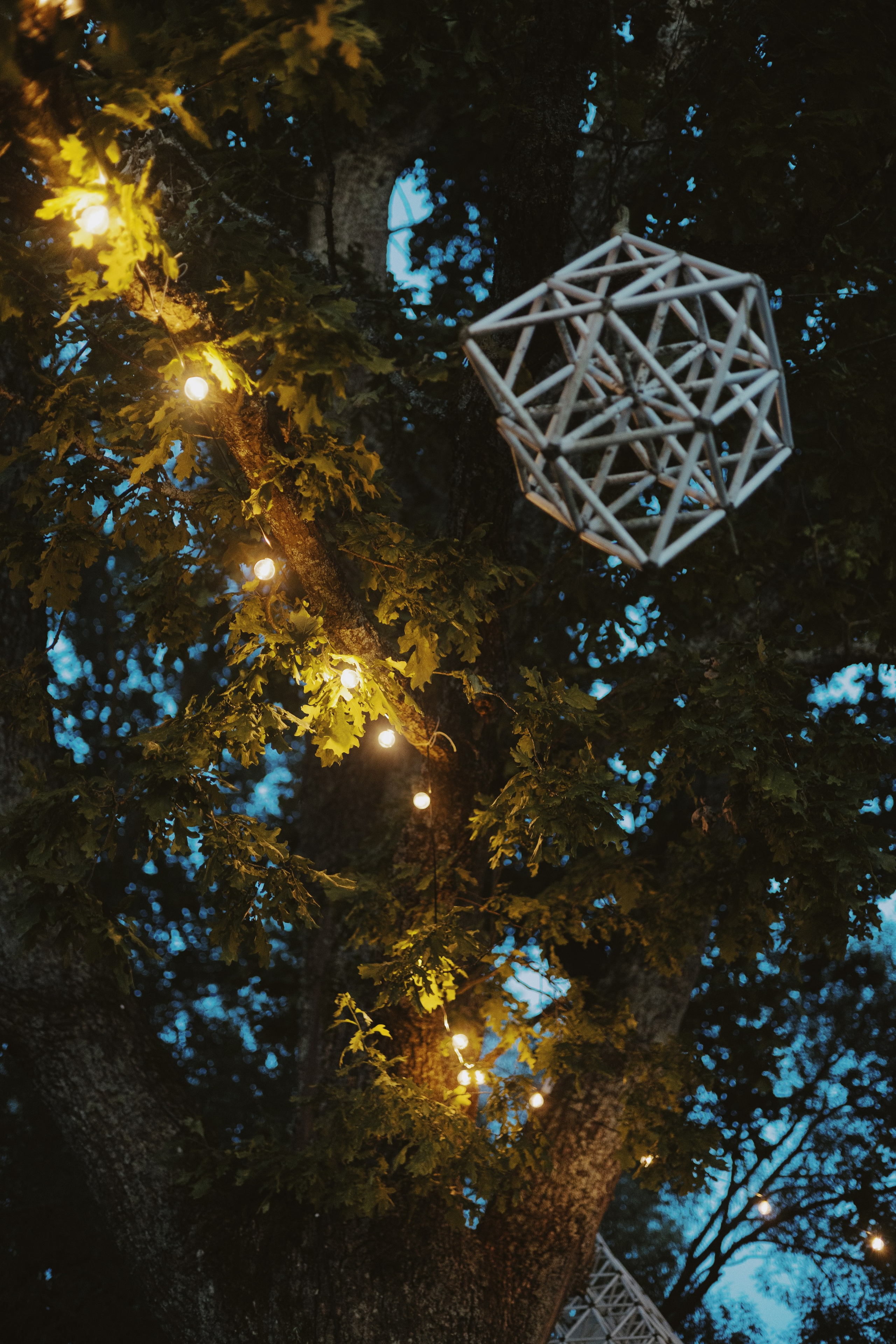 Vasara sode. Портретный фотограф Александра Самозванова