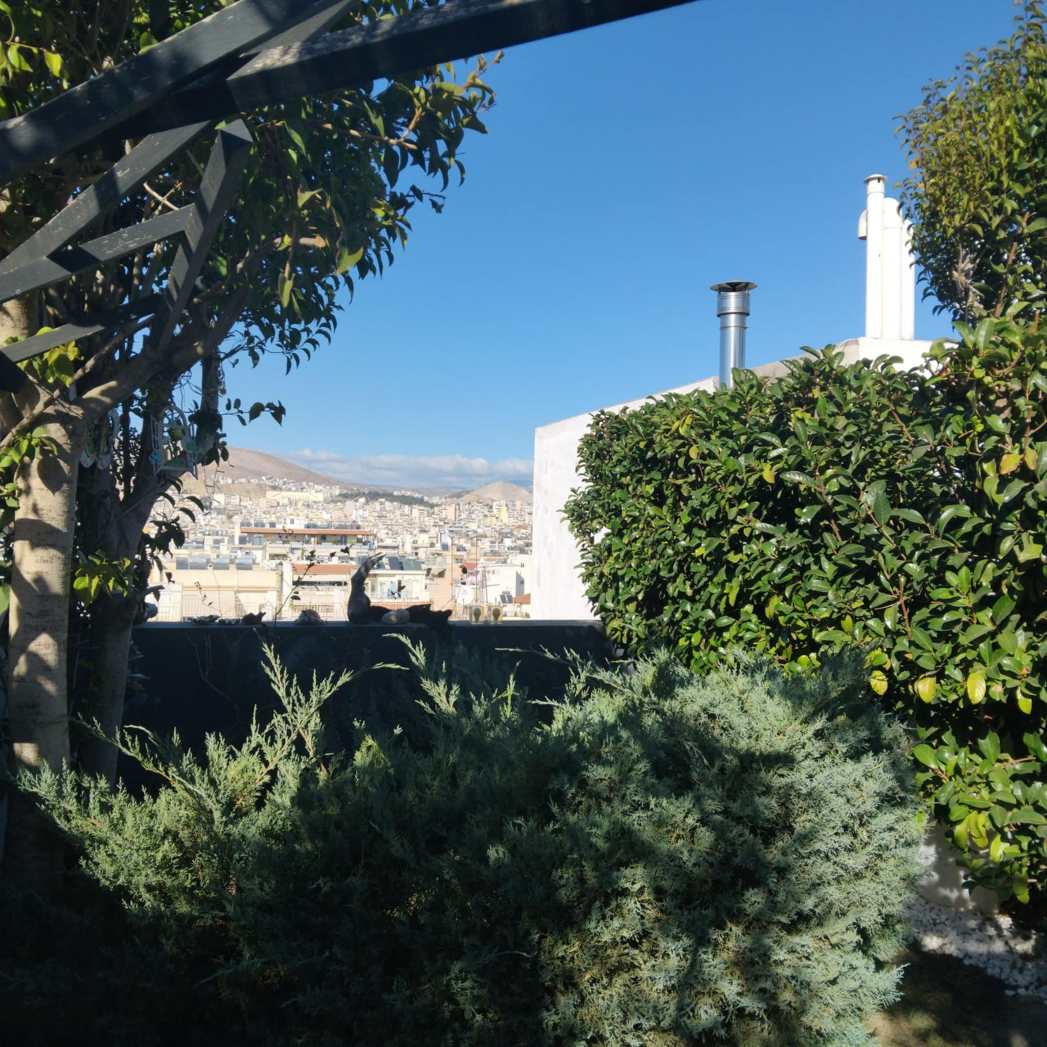 Κήπος Πειραιά. Geoponitikon-Όταν η Επιστήμη συναντά την Τέχνη στο Φυσικό Τοπίο!