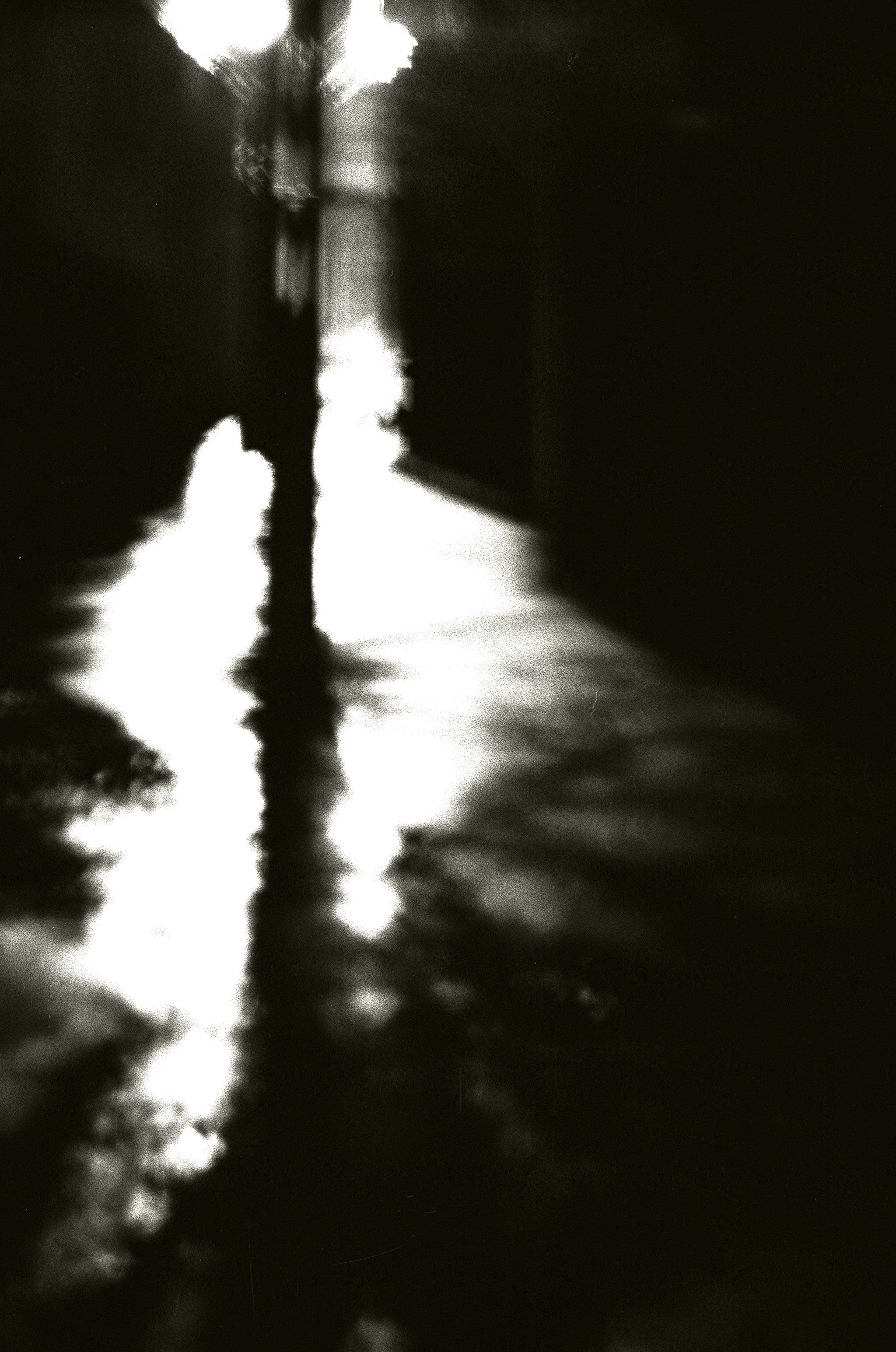 Personal Photography. Arman Milani, Brand-Focused Video Production & Content Creation, Based in Berlin