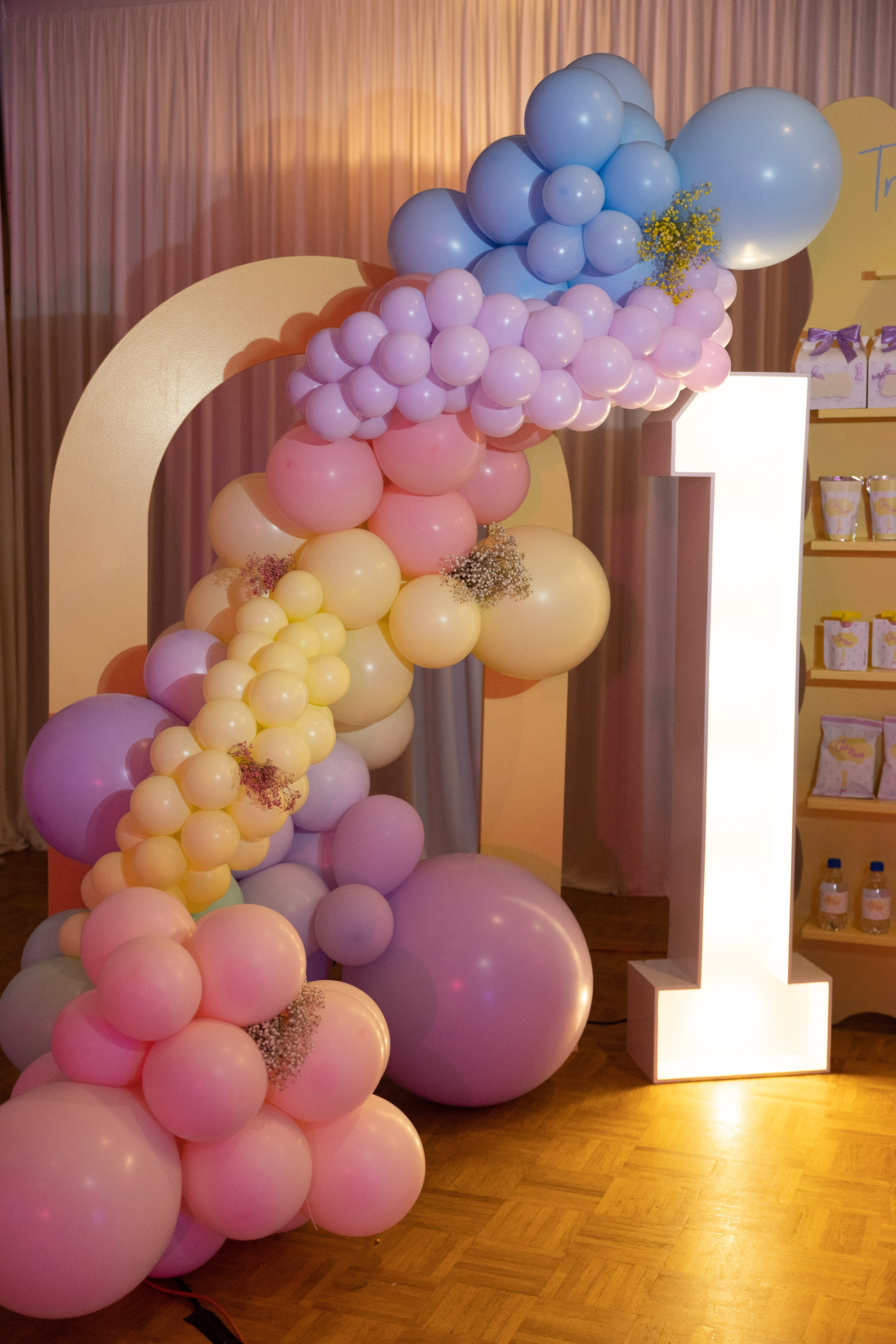 1 st Birthday. Portrait and Family Photographer in Netherlands