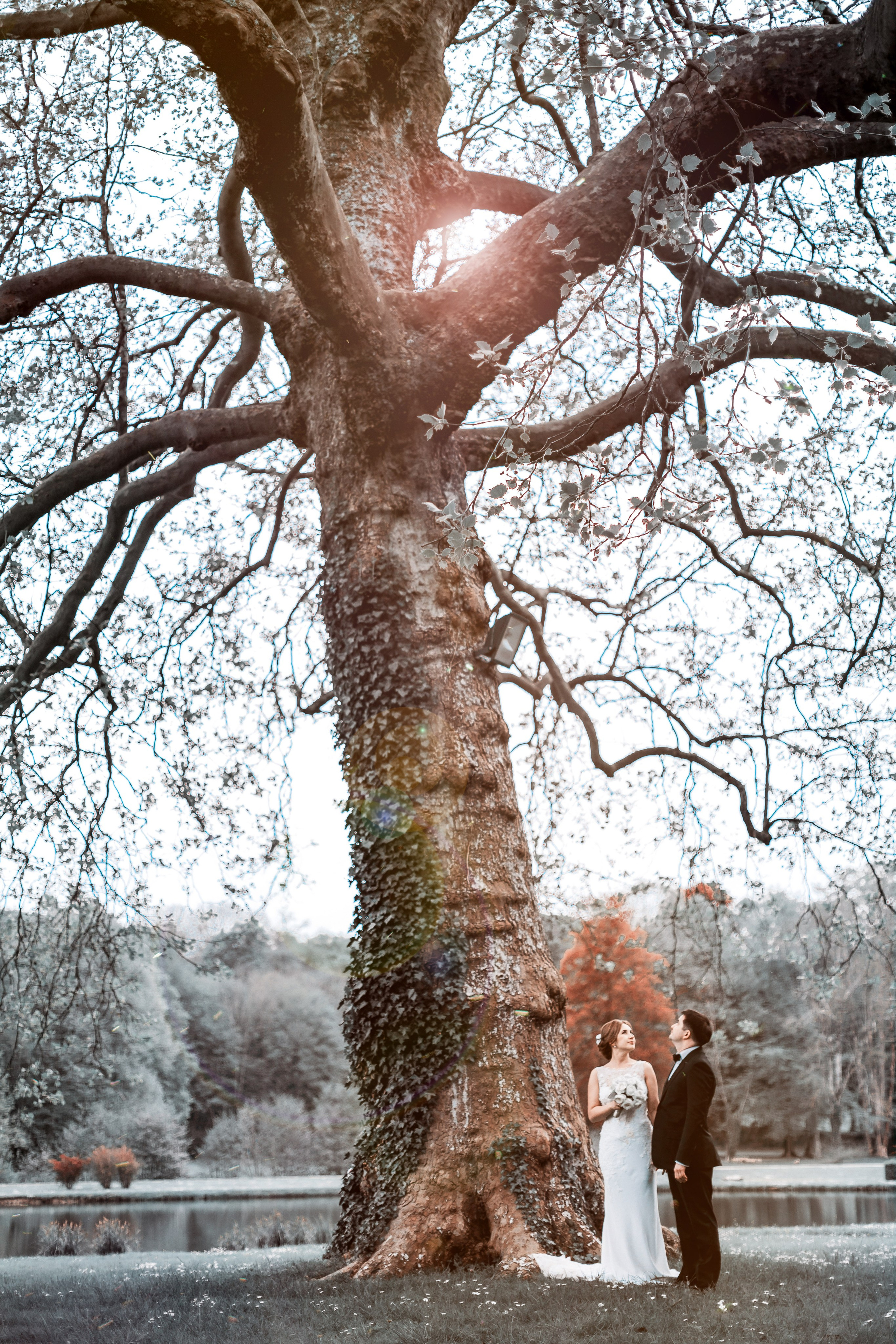 🏀 ALBUM « MARIAGE ». Félix - Photographe professionnel à Paris