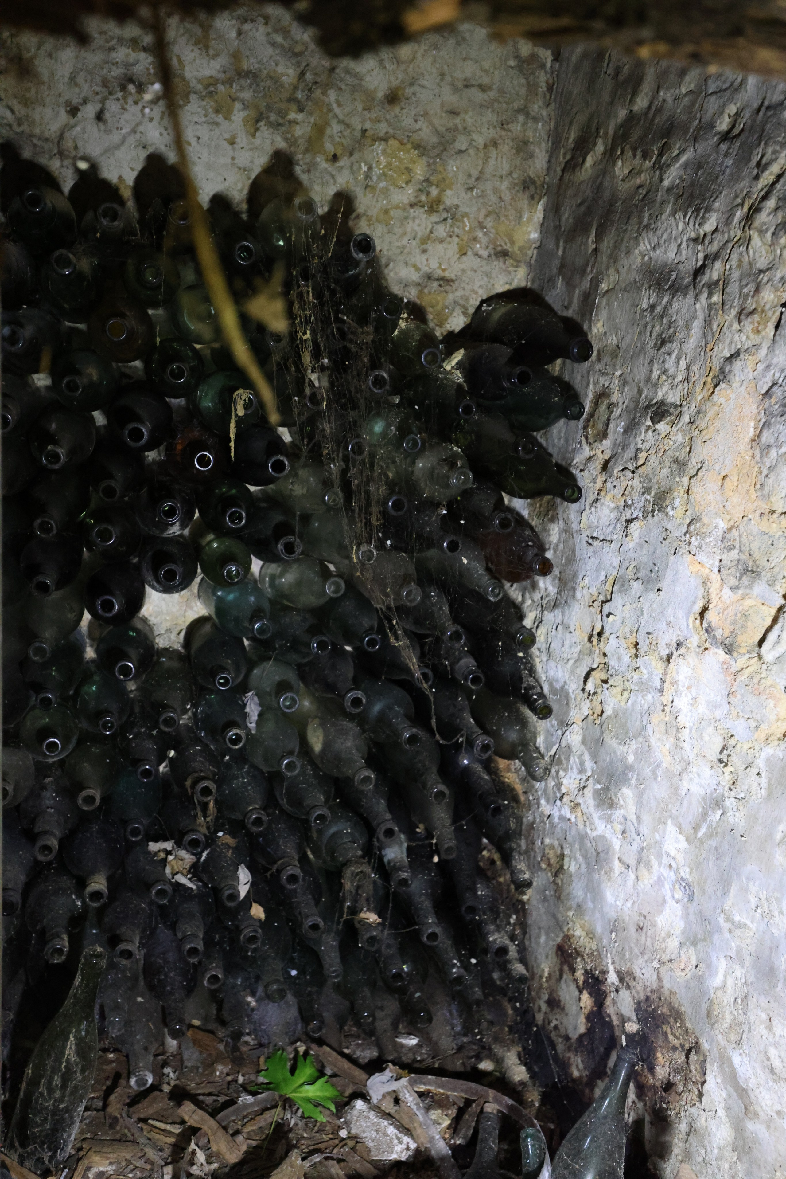 MAISON AU BOIS DORMANT. Natalia Bogdanovska. Films et photographie corporate en France