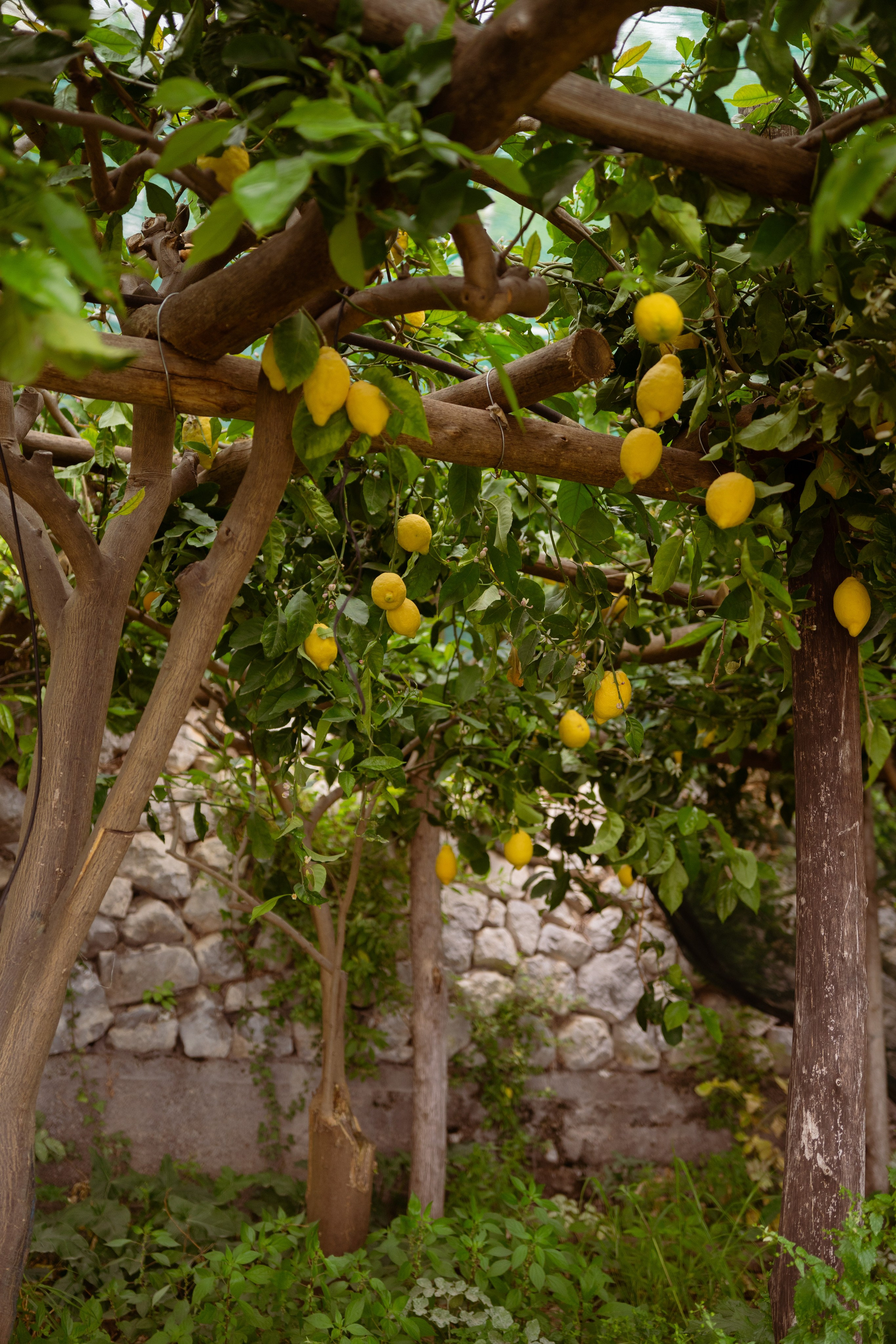 Furore Il Limonetto. Hotel and travel photographer