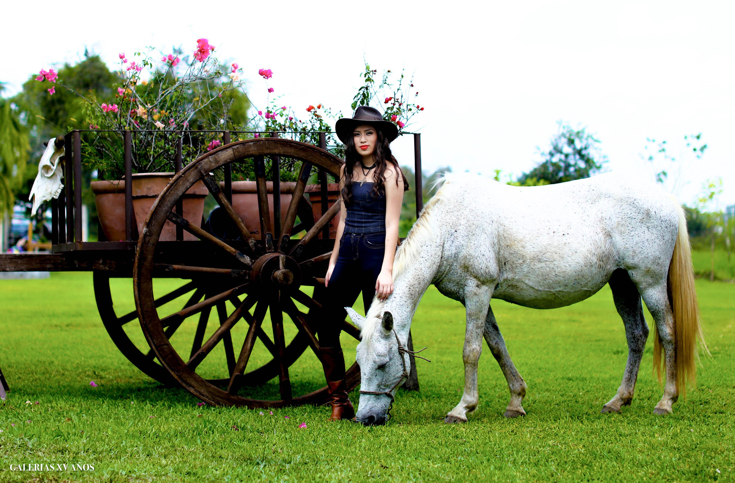 Fotografias de XV años. Principal