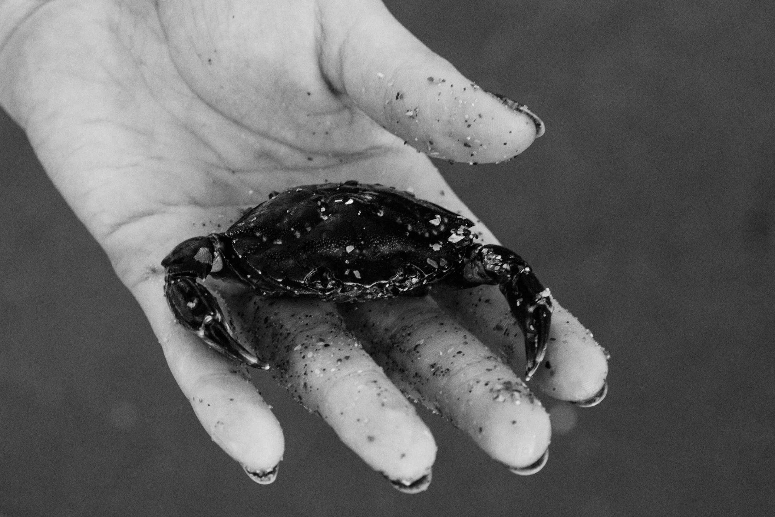 Seaside | Family Photographer in London and Kent