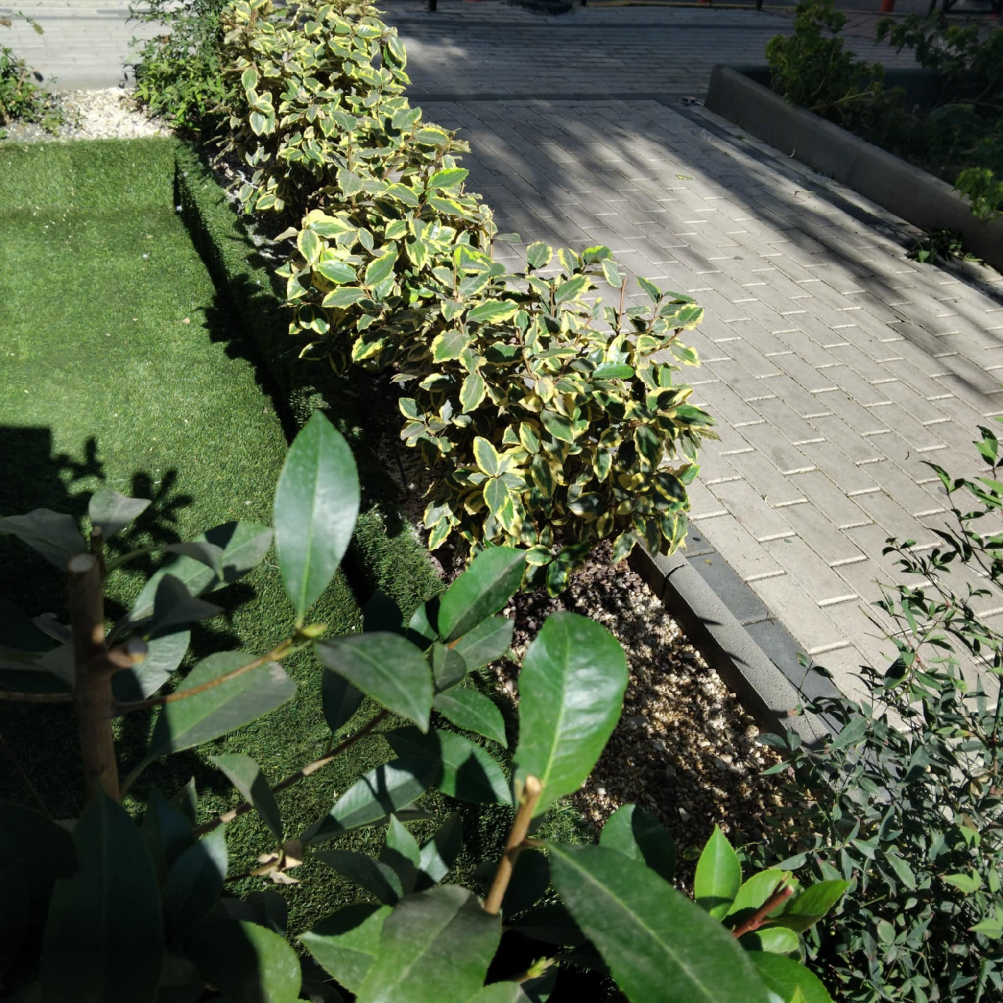 Κήπος Καμίνια. Geoponitikon-Όταν η Επιστήμη συναντά την Τέχνη στο Φυσικό Τοπίο!