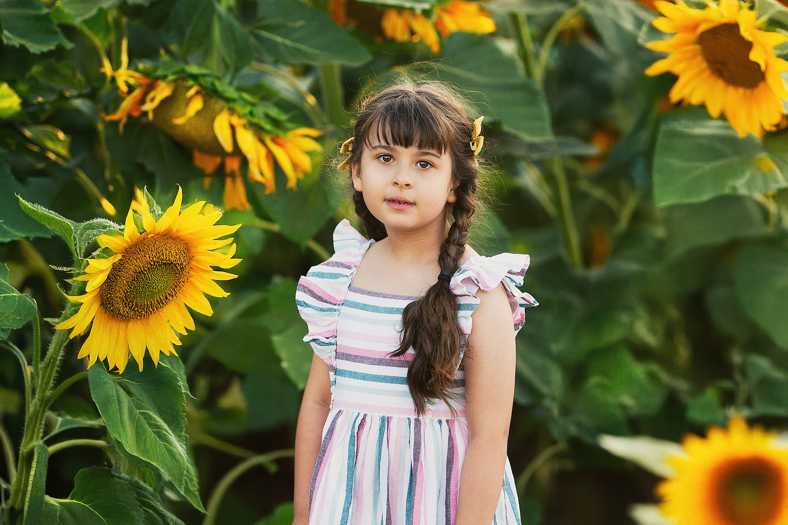 צילומי ילדים. צלמת ילדים, הריון ומשפחה בישראל