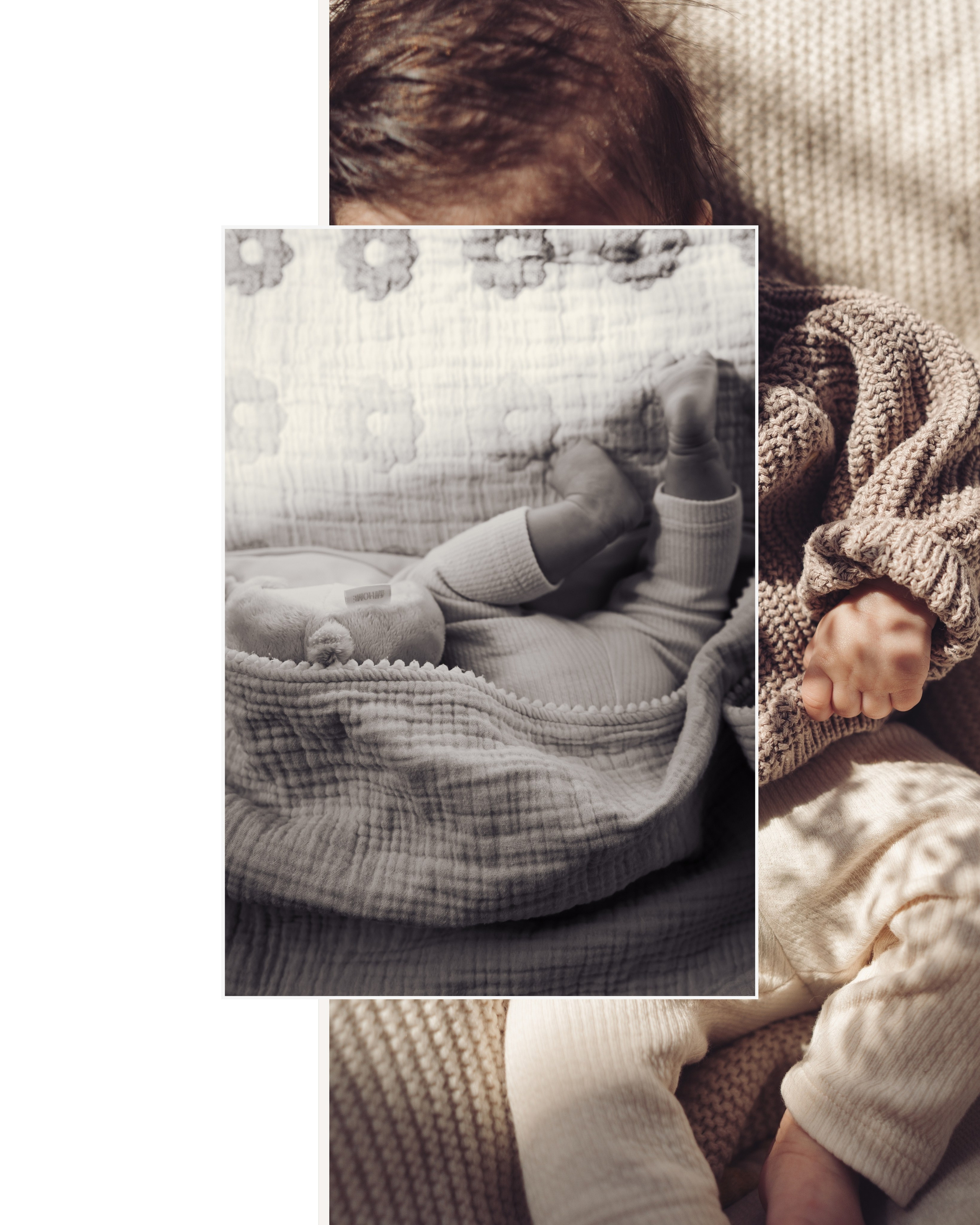 Welcome to the World. Dash_photopic.I’m Daria New York based photographer