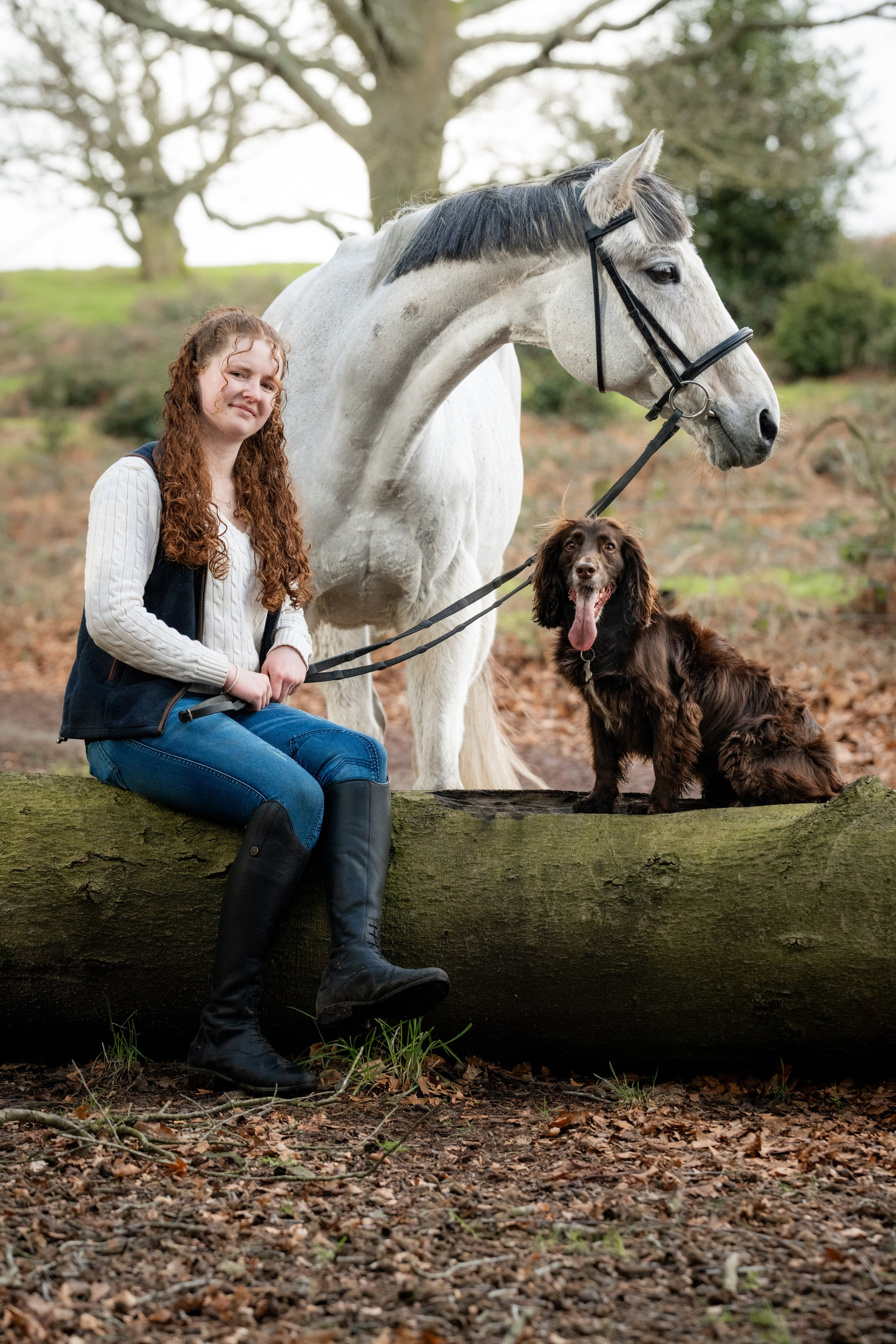 Equine Photography Portfolio | Leicestershire Horse Portrait Photographer. Leicestershire Equine Photography by El | Authentic Equine Portraits & Events