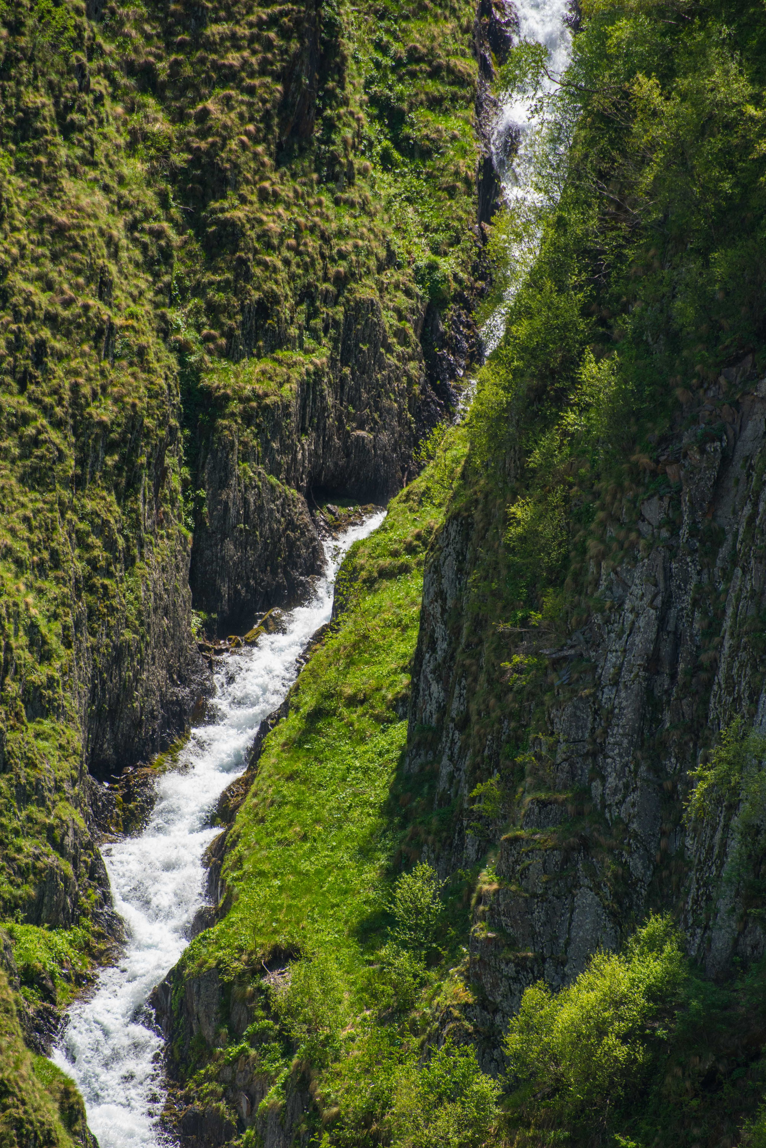 Juta. Photographer in Tbilisi