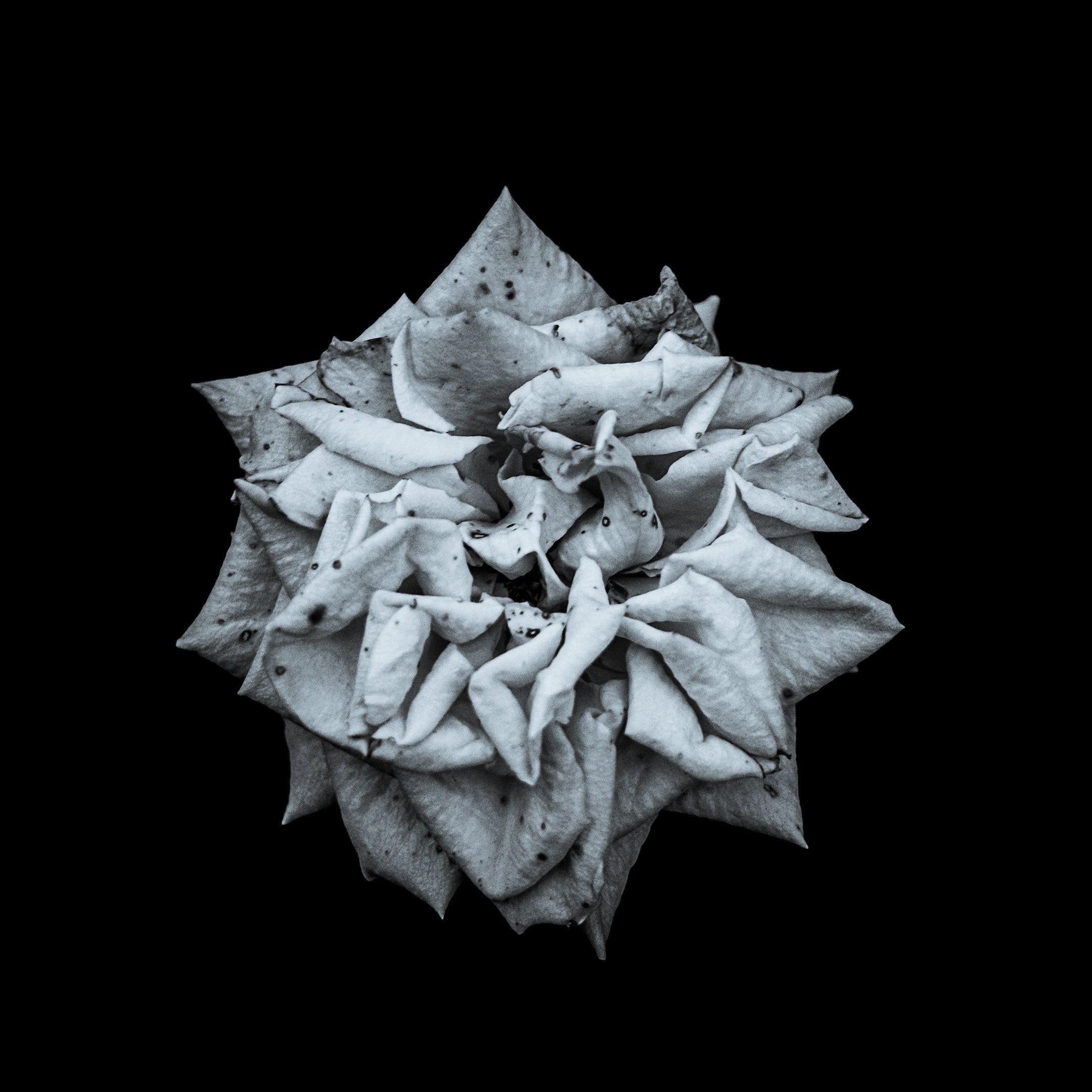 Proyecto Penitencias