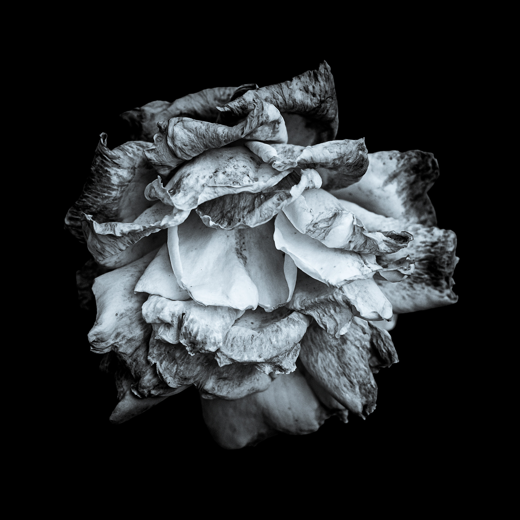 Proyecto Penitencias