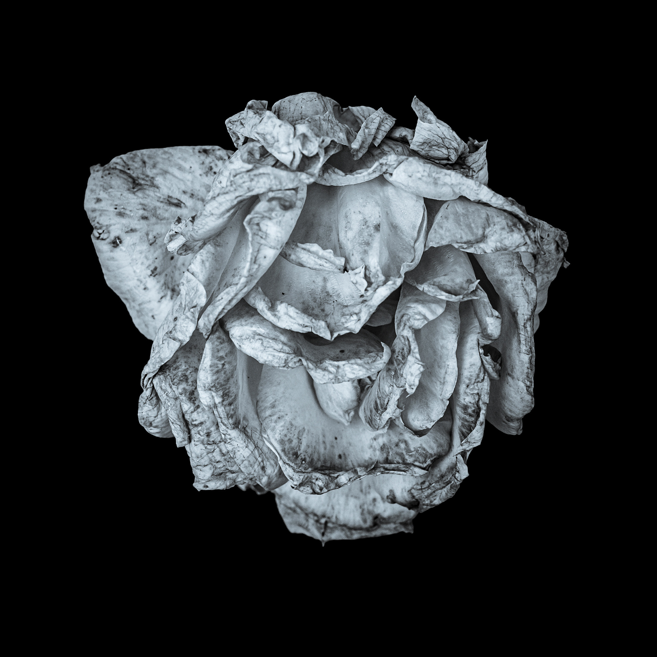 Proyecto Penitencias