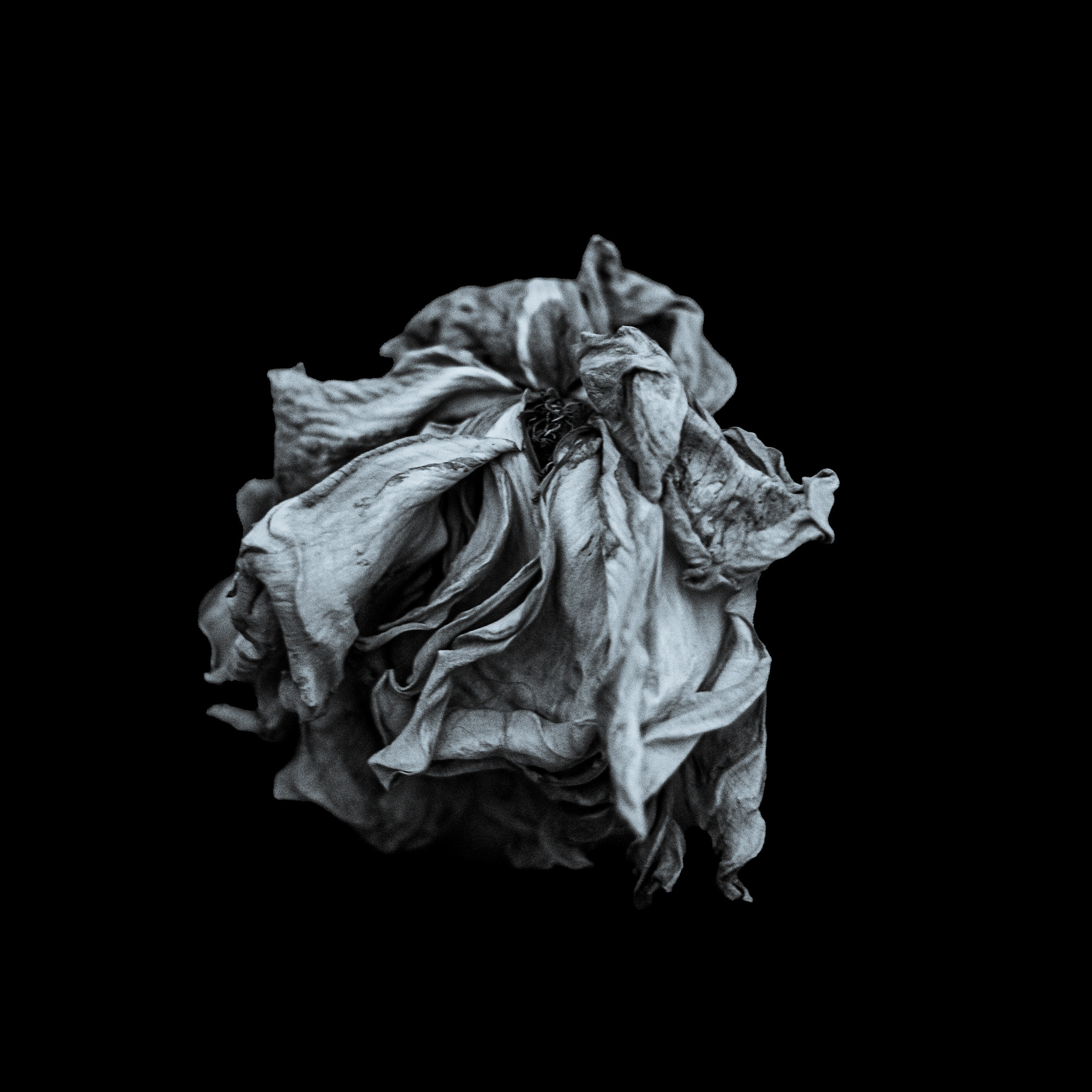 Proyecto Penitencias