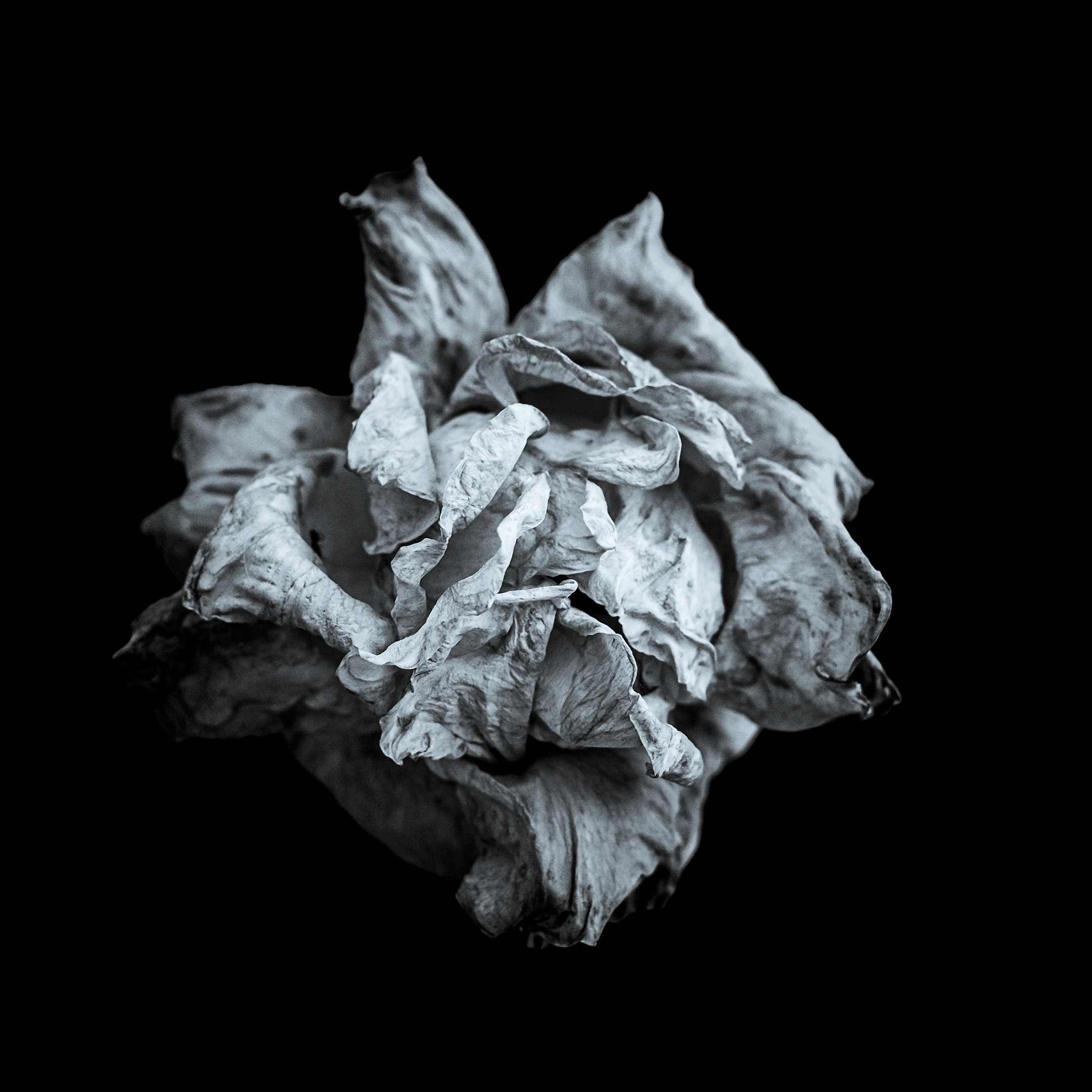 Proyecto Penitencias