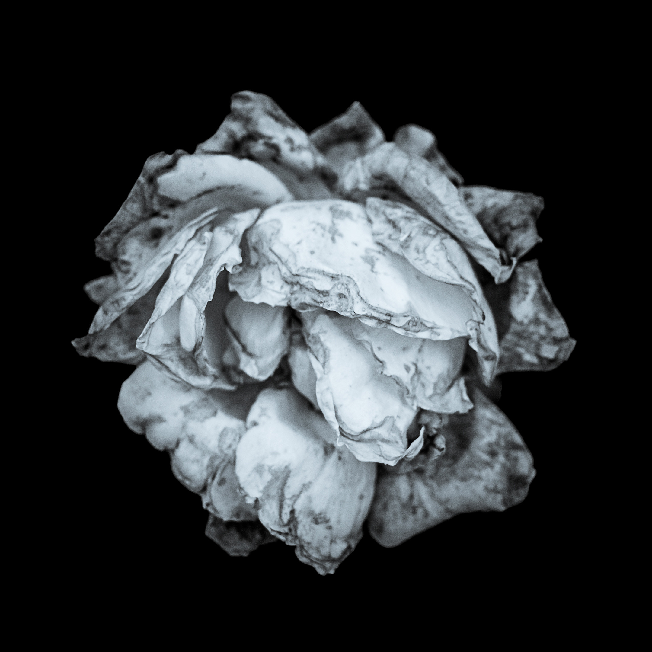 Proyecto Penitencias