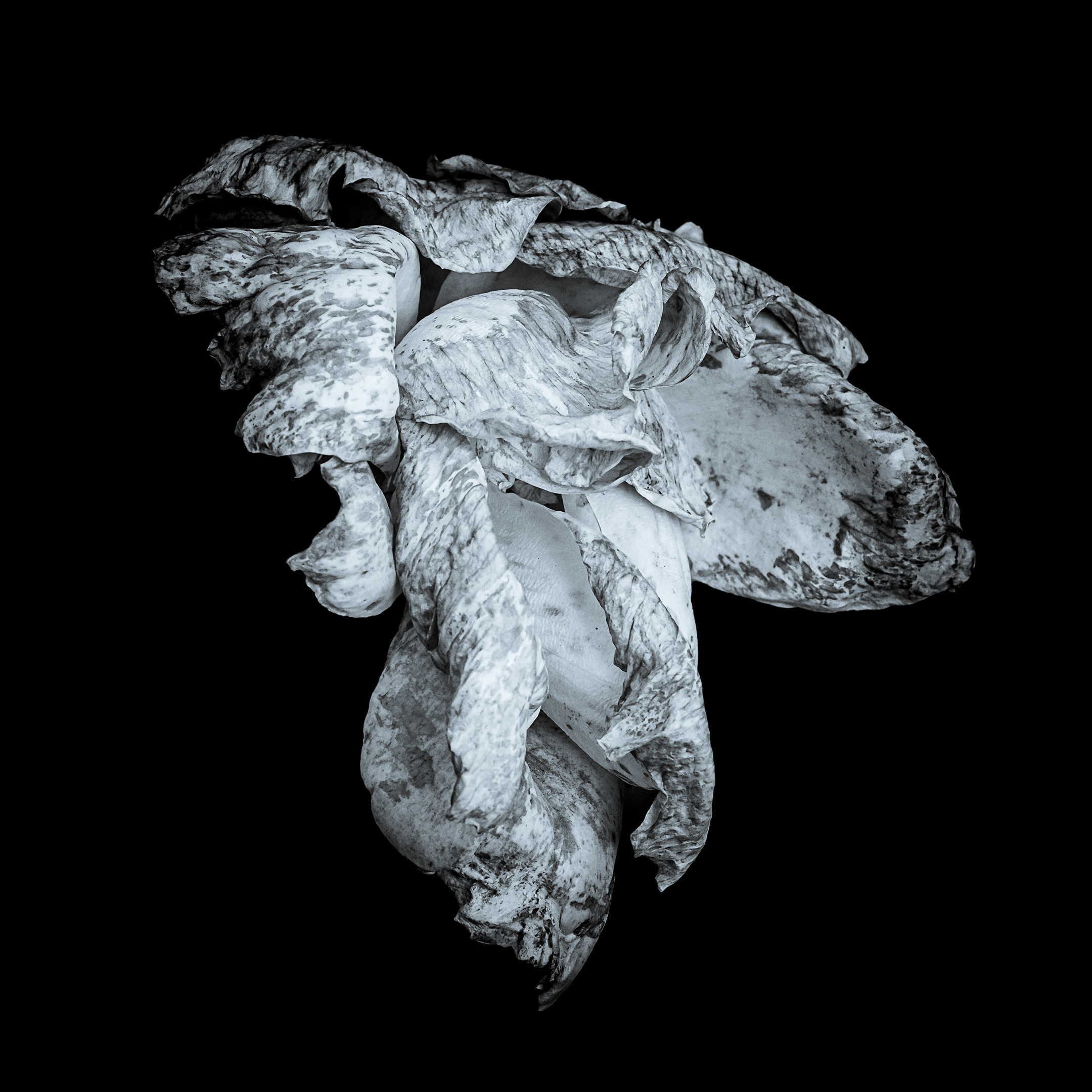 Proyecto Penitencias