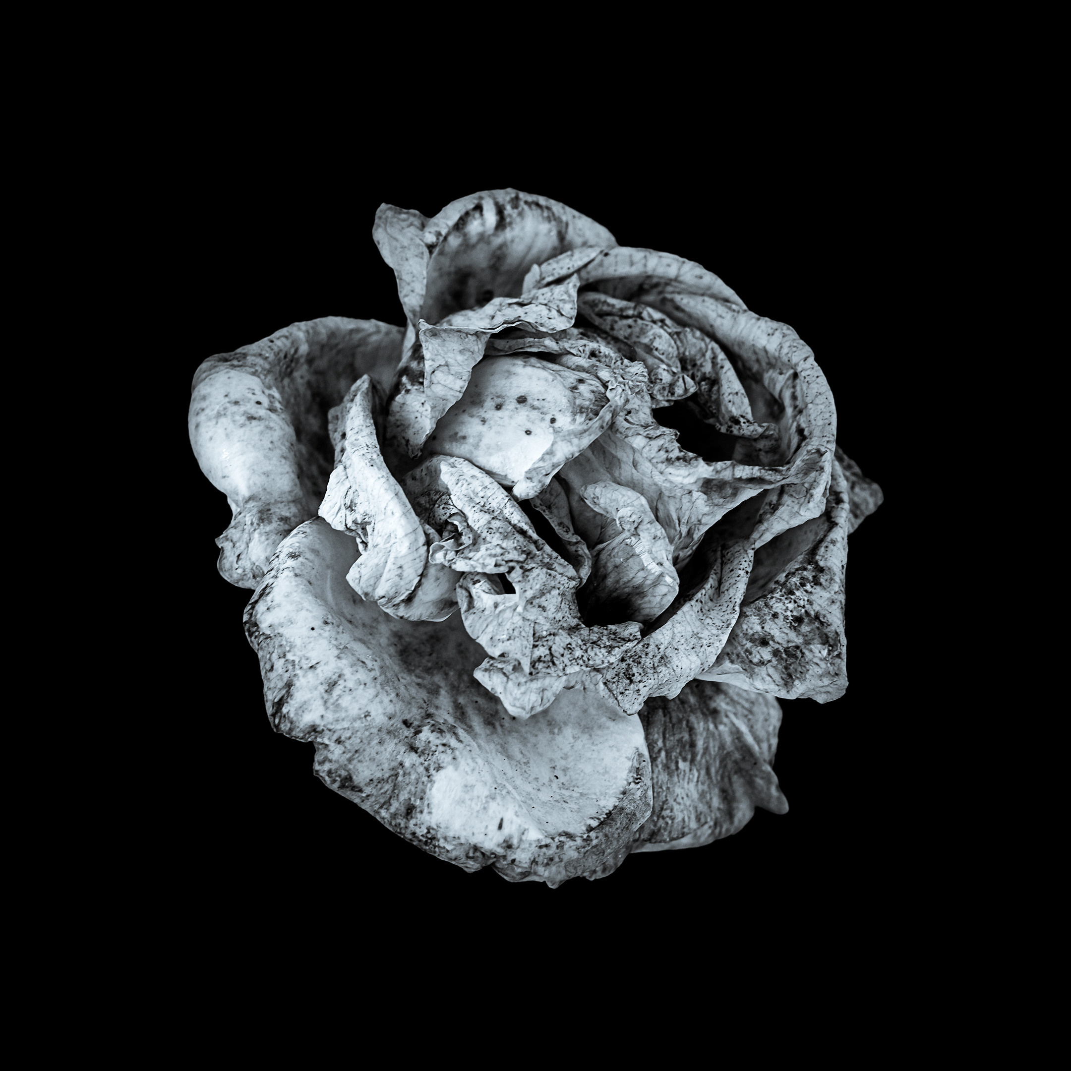 Proyecto Penitencias