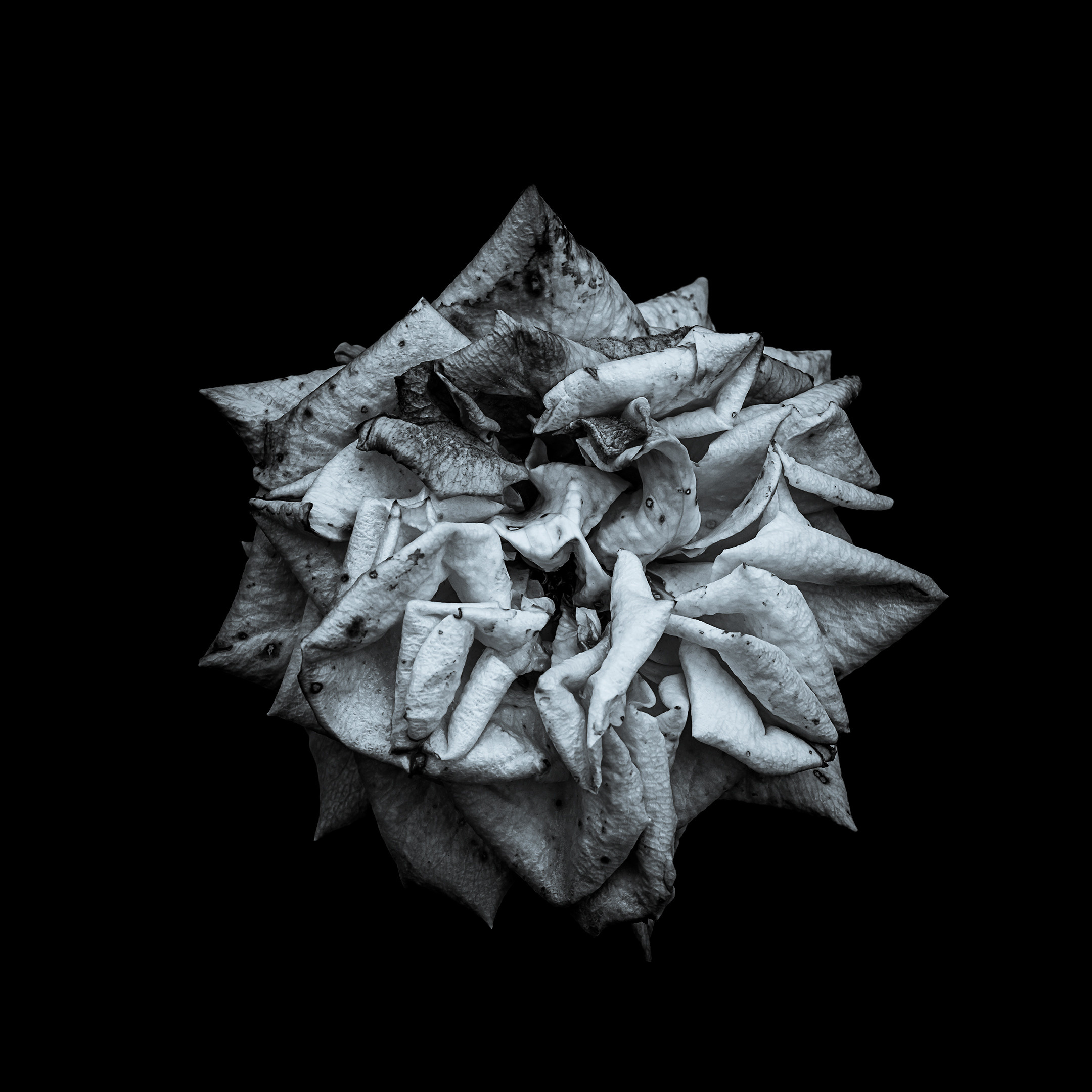 Proyecto Penitencias