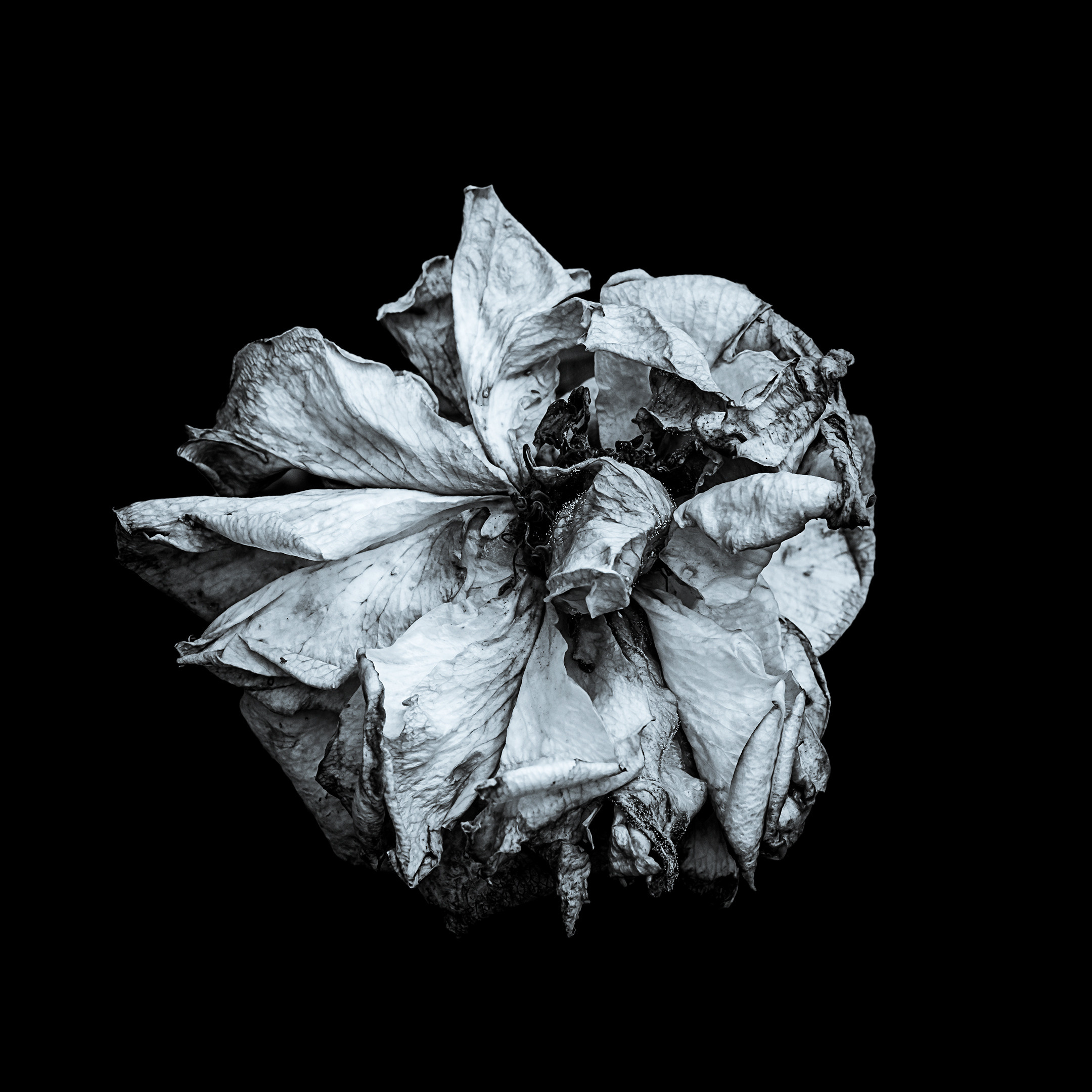 Proyecto Penitencias