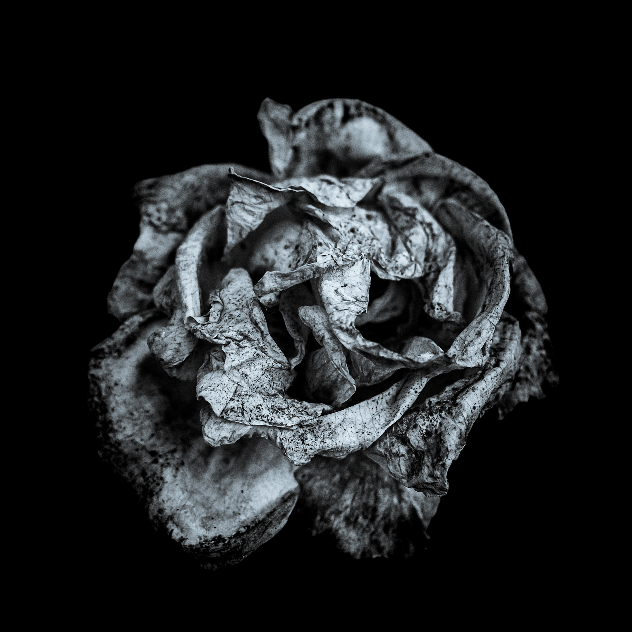 Proyecto Penitencias