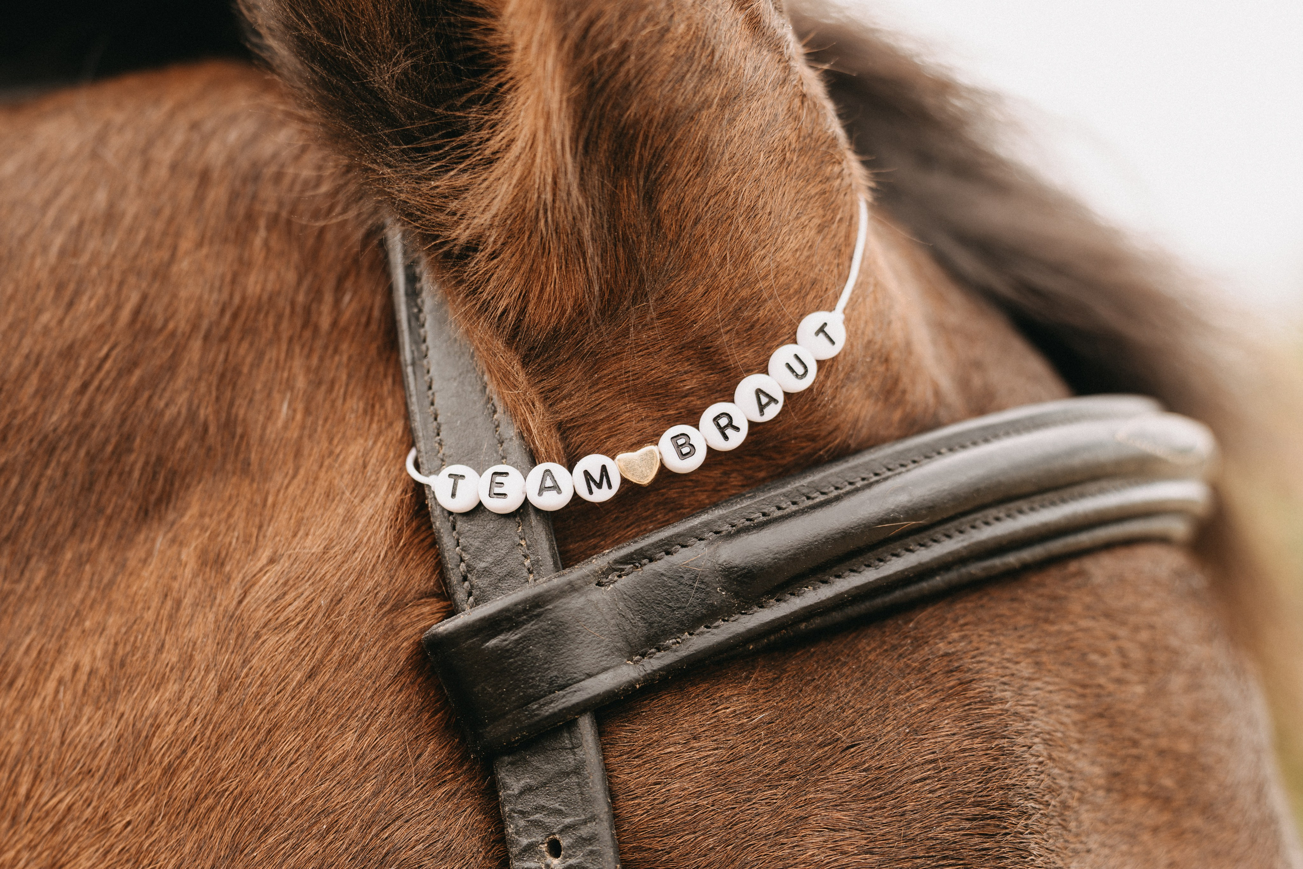 Junggesellenabschied - Maike. Thorben Ihler - Dein Fotograf aus Emden