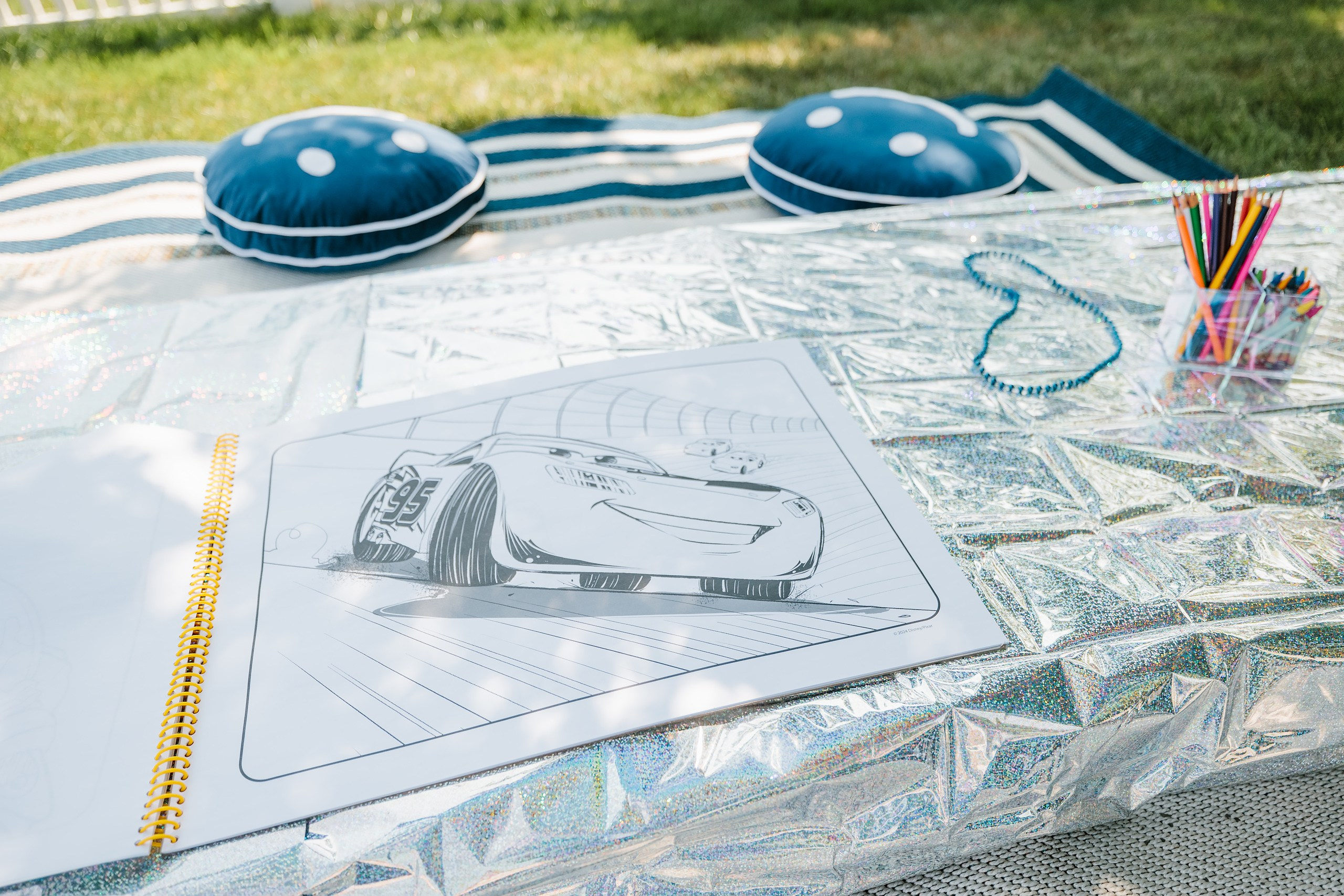 07.27.2024 Birthday Party. Wedding family event photographer in Chicago Nick Yushevich