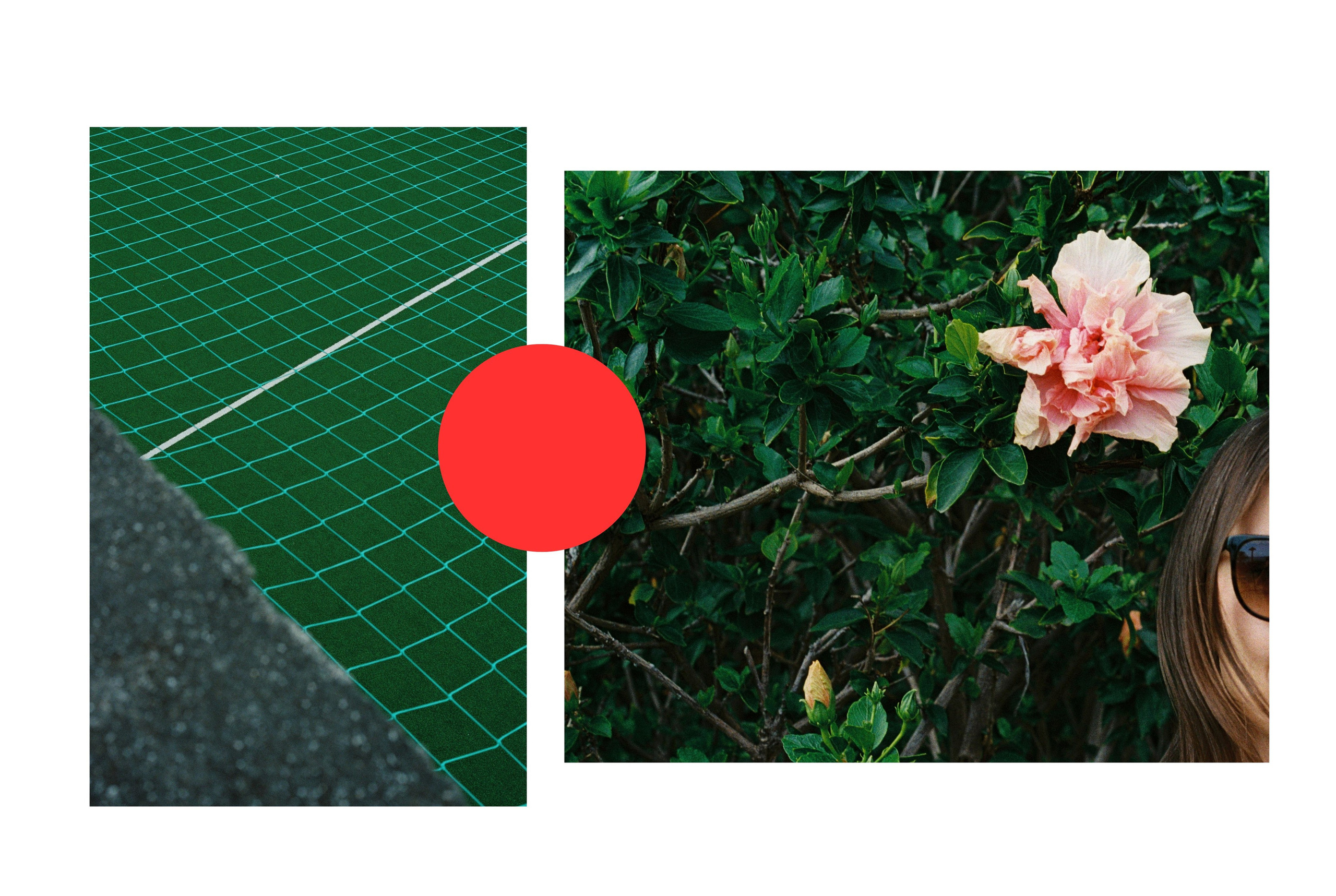 Emphasis. Portrait photographer in Madeira — Marina Shtukina