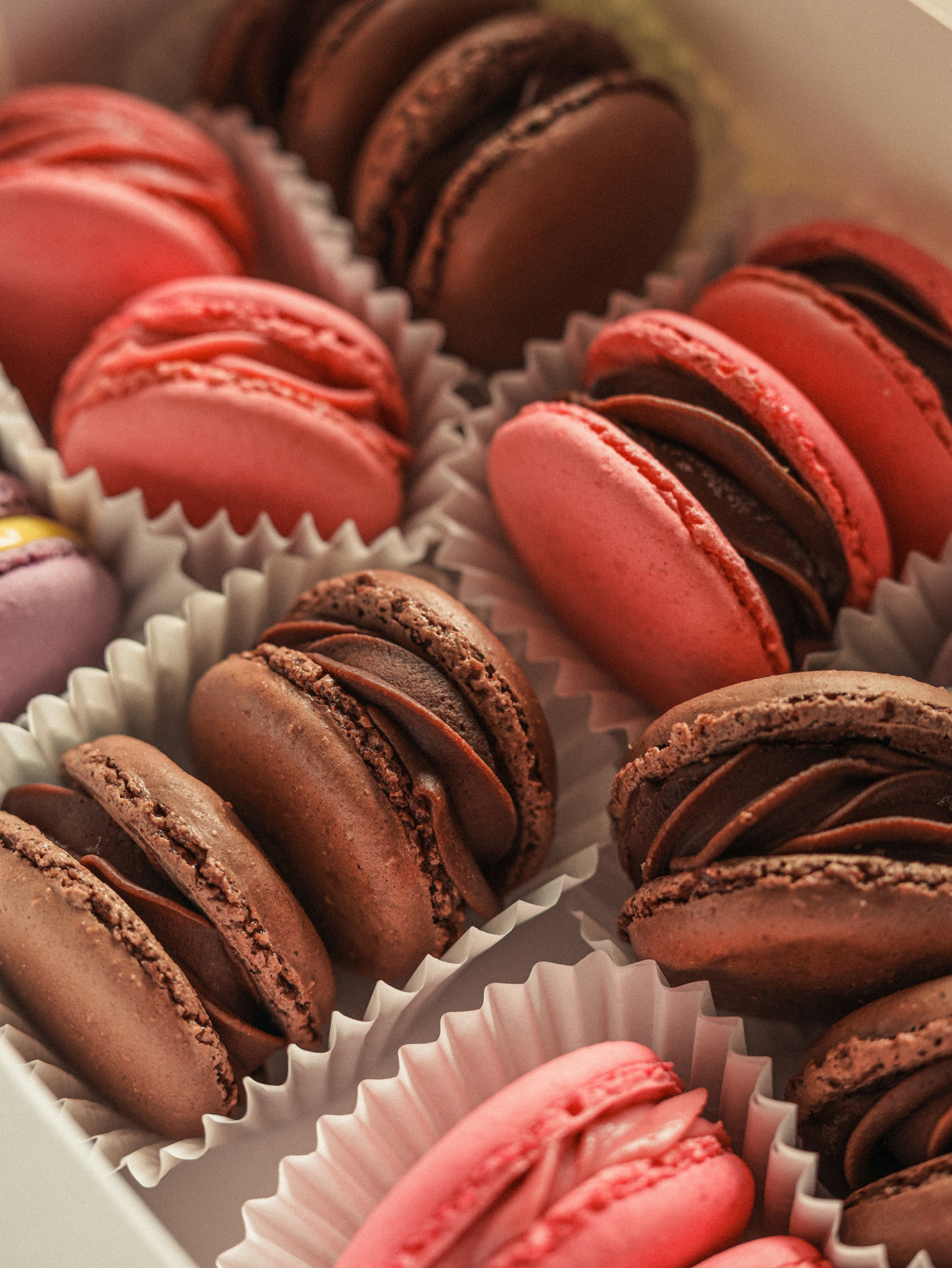 Bond Bakery. Photographer Co Dublin, Balbriggan — Agata Maliseva