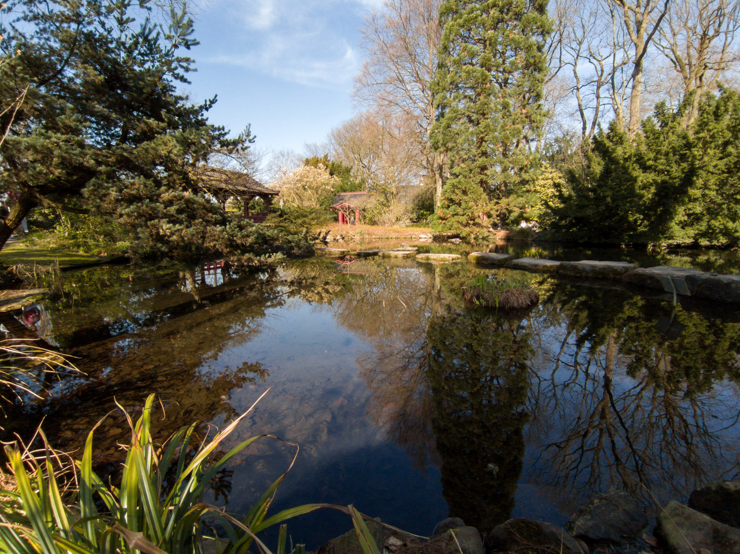 Cologne (Germany) Leverkusen. Fotograf in Köln, Bonn, Düsseldorf, Krefeld