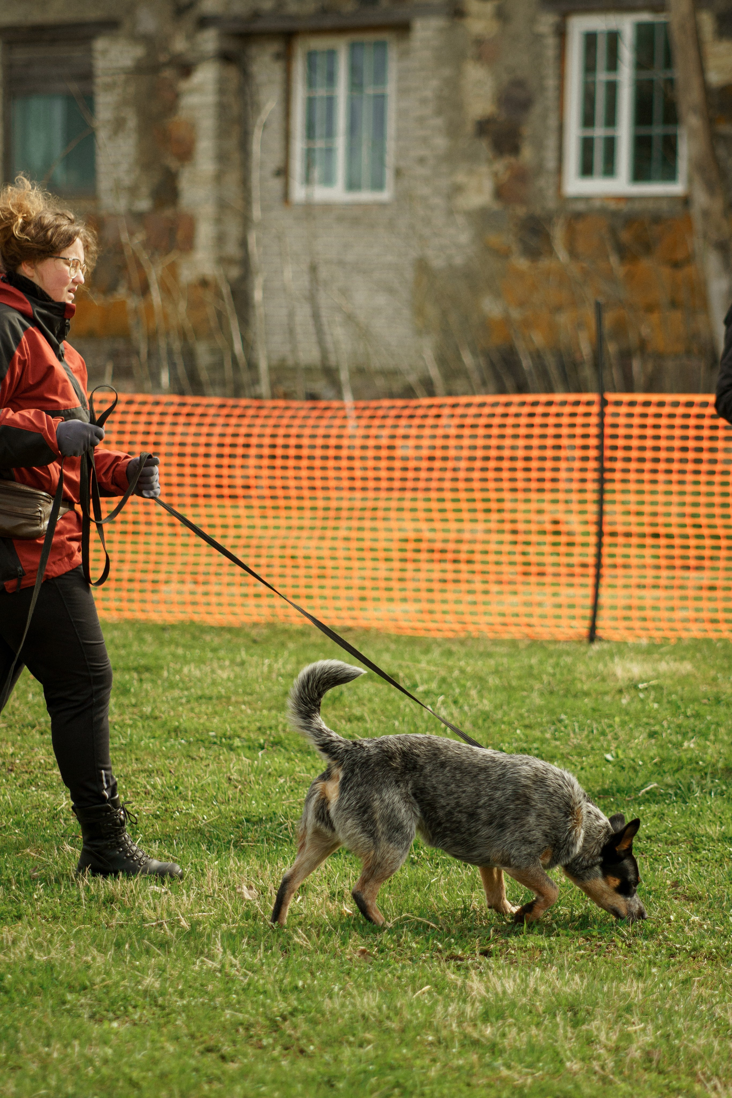 Herding Days, 26 apr. 2025. Kat Laisaar — Pet photographer in Tallinn
